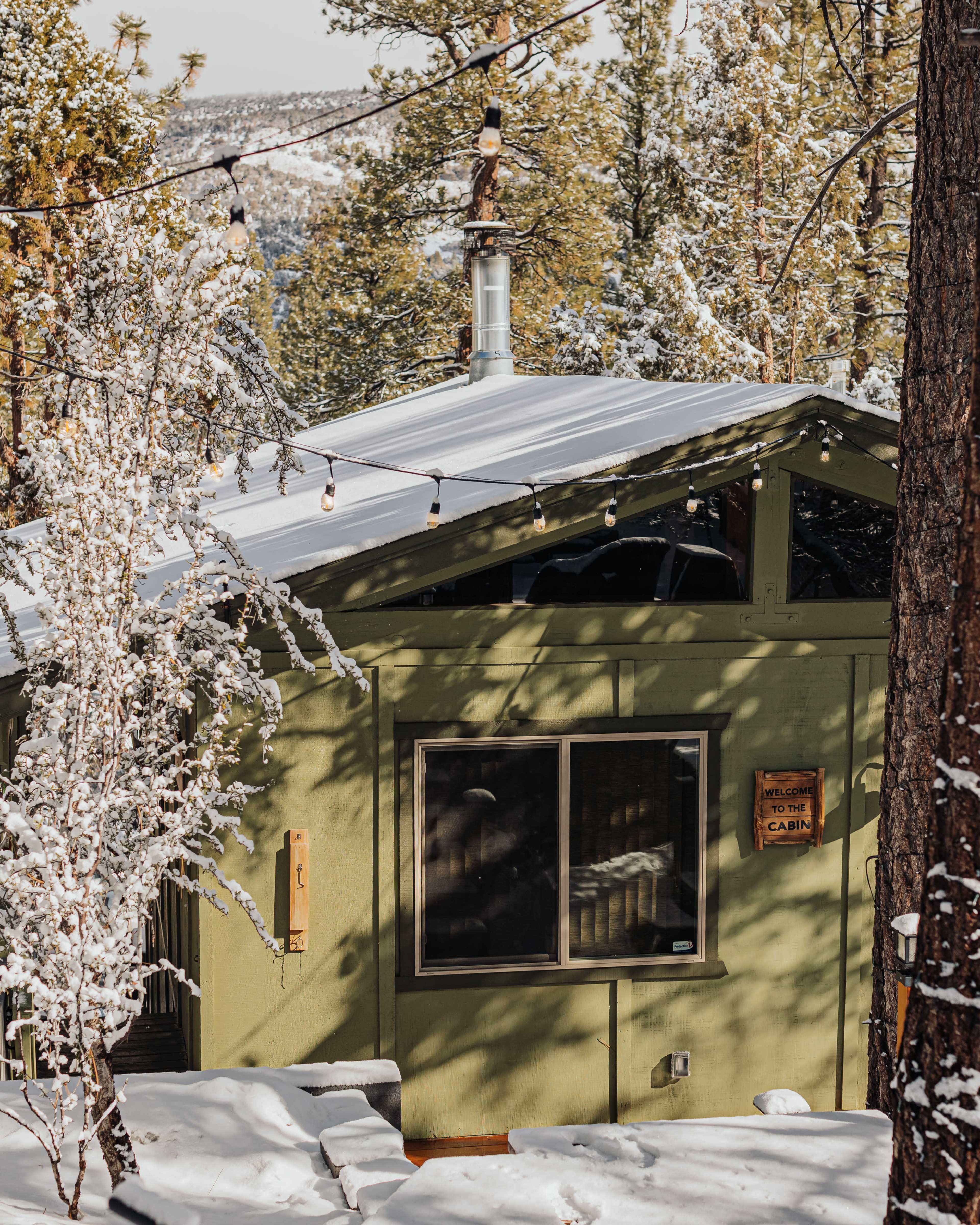 A green cabin nestled in a snowy landscape is surrounded by tall trees and string lights hanging in the foreground.