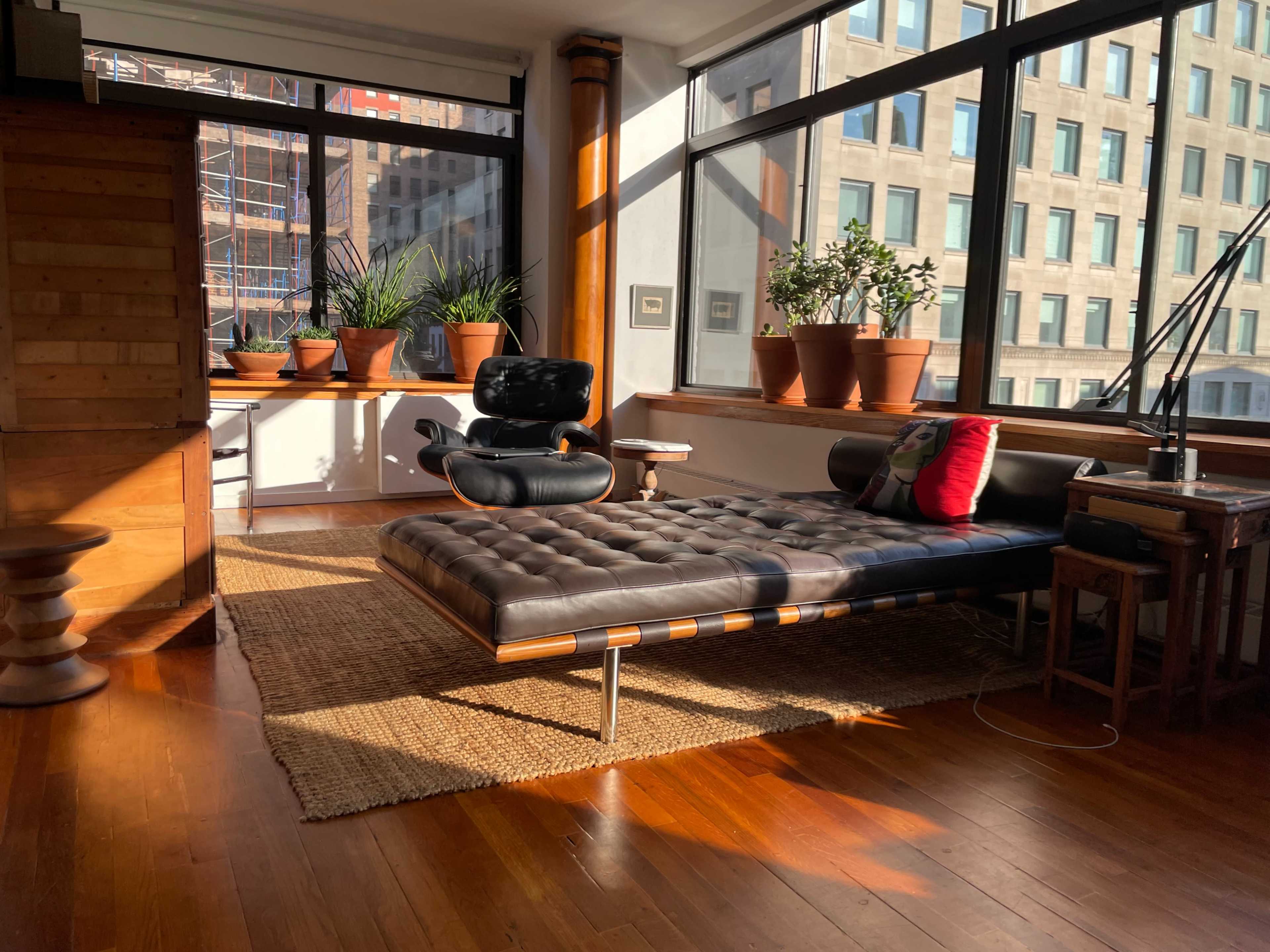 A modern, sunlit living space features a black leather daybed, potted plants, and wooden accents.