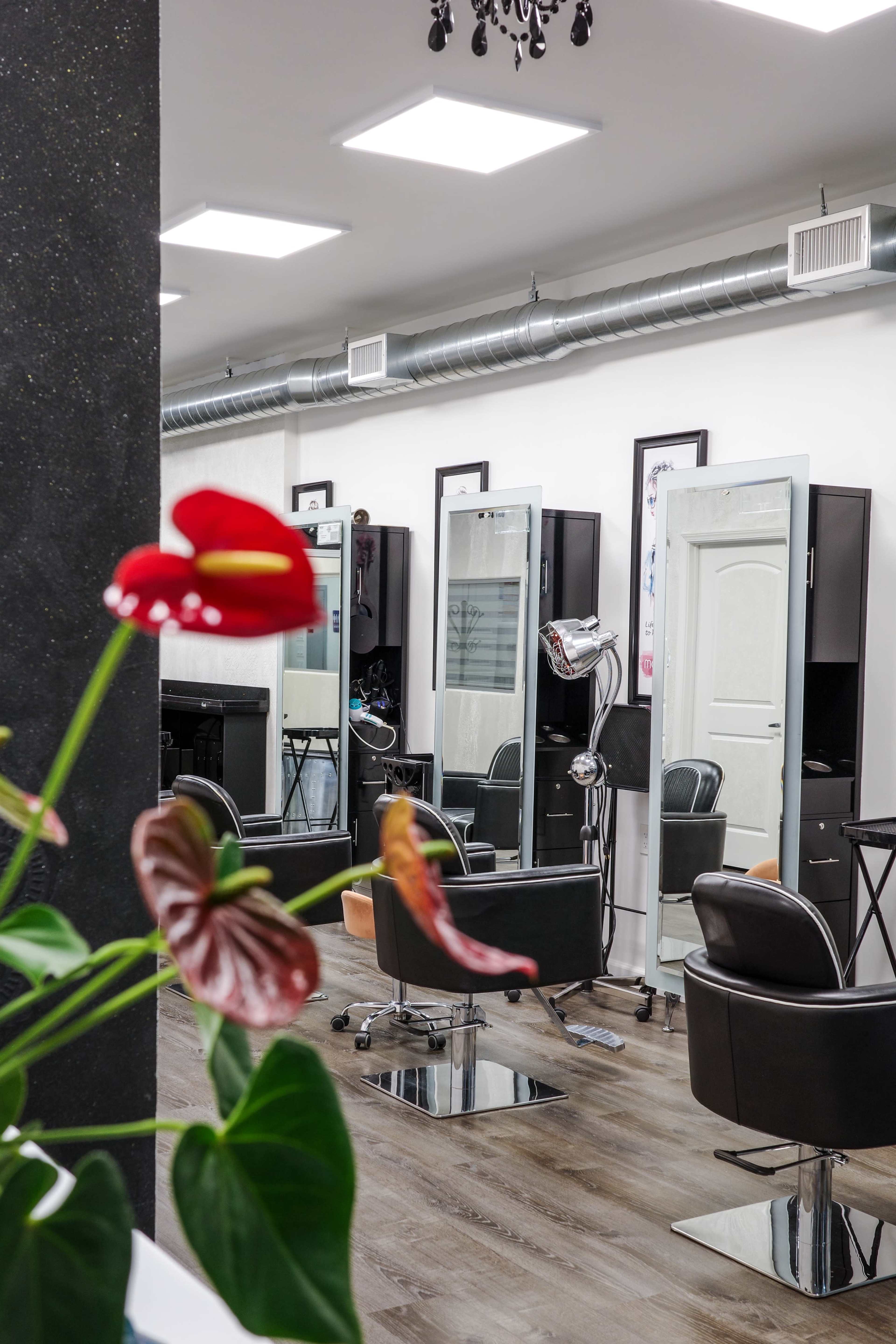 A modern hair salon features black styling chairs, large mirrors, and bright overhead lighting, with houseplants in the foreground.