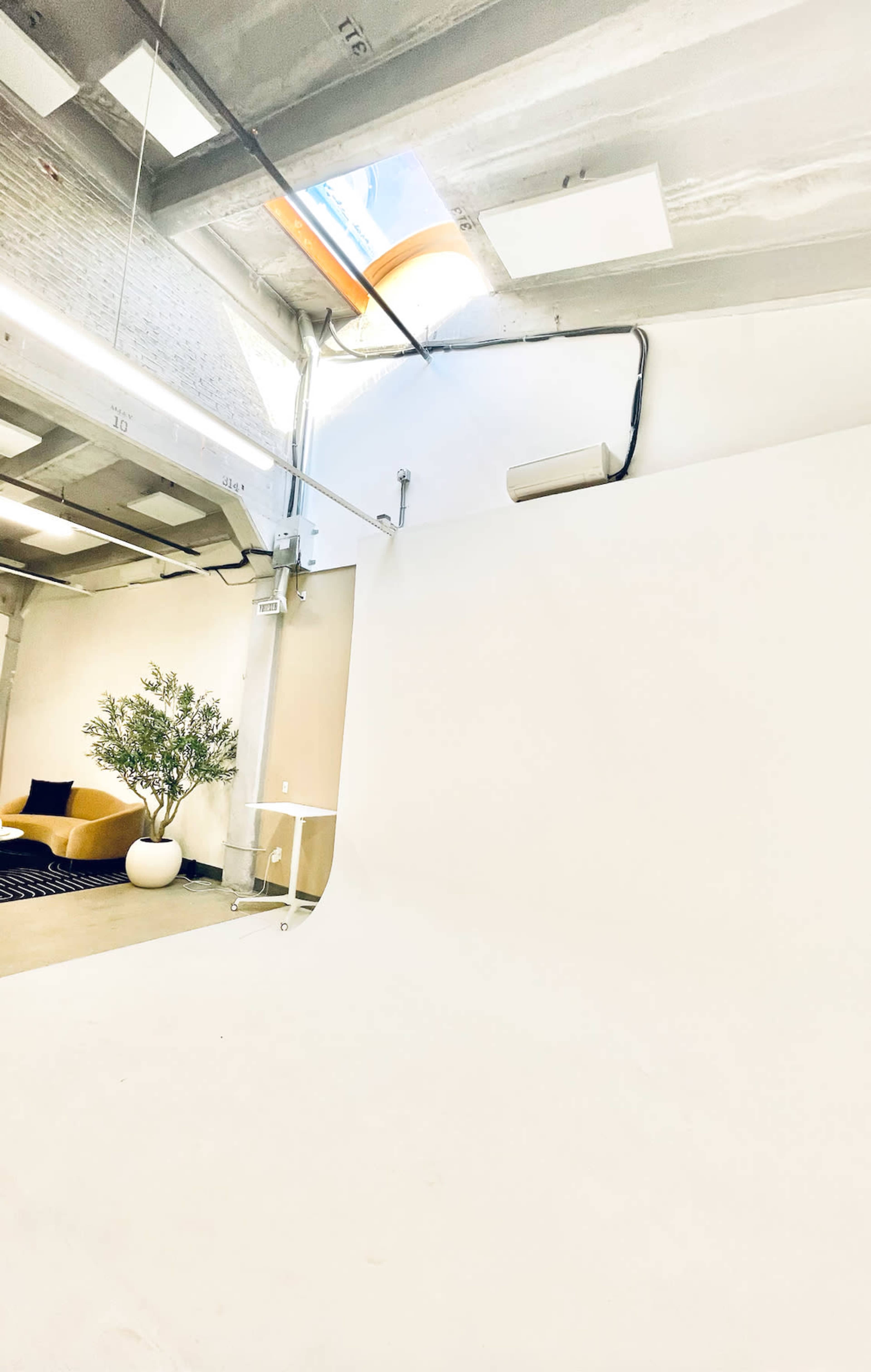 The image shows a bright, minimalist studio space with a seamless white backdrop and a small potted plant in the corner.