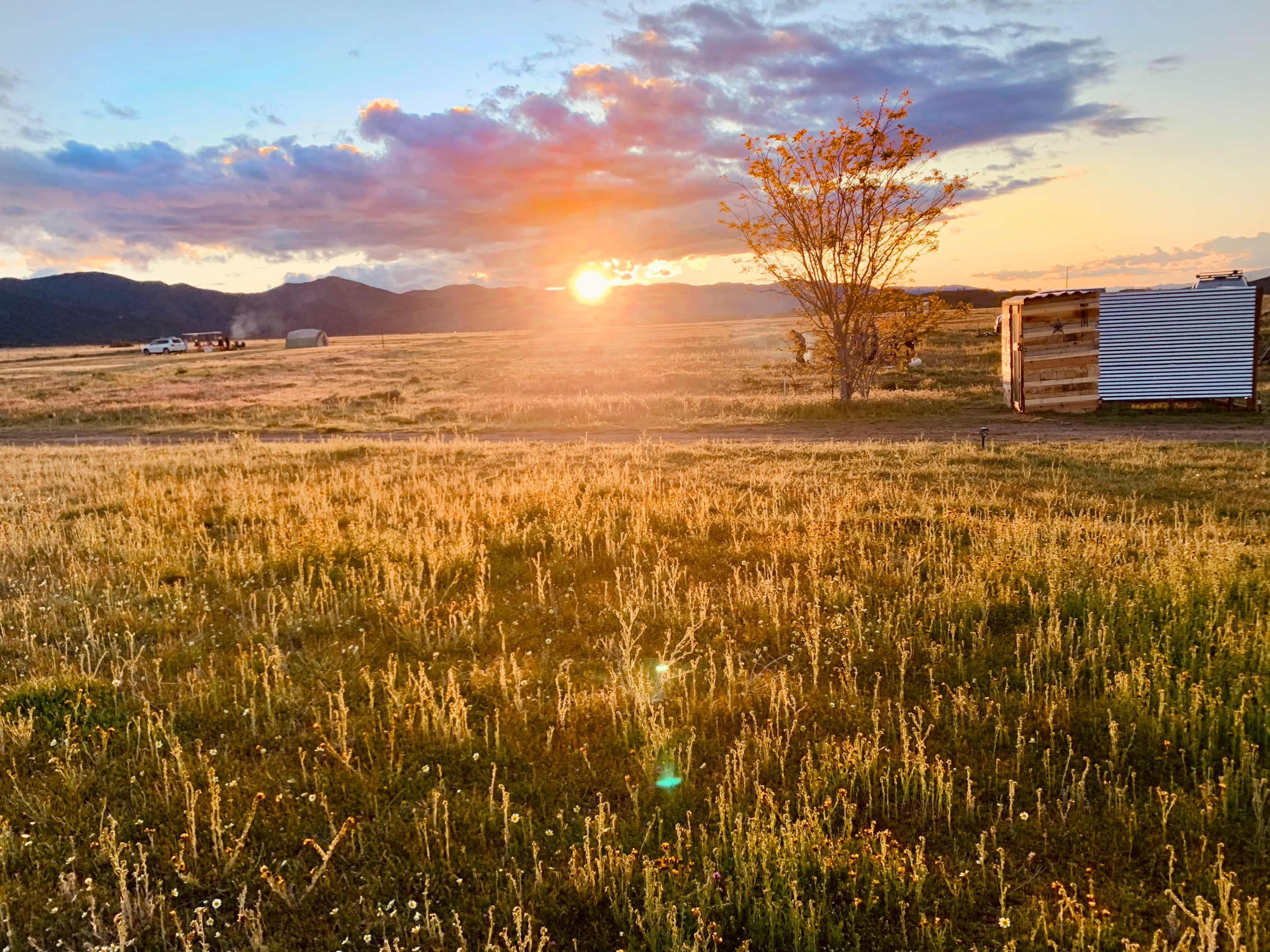The sun sets behind rolling hills, casting warm light over a grassy field with a tree and a shed in the foreground.