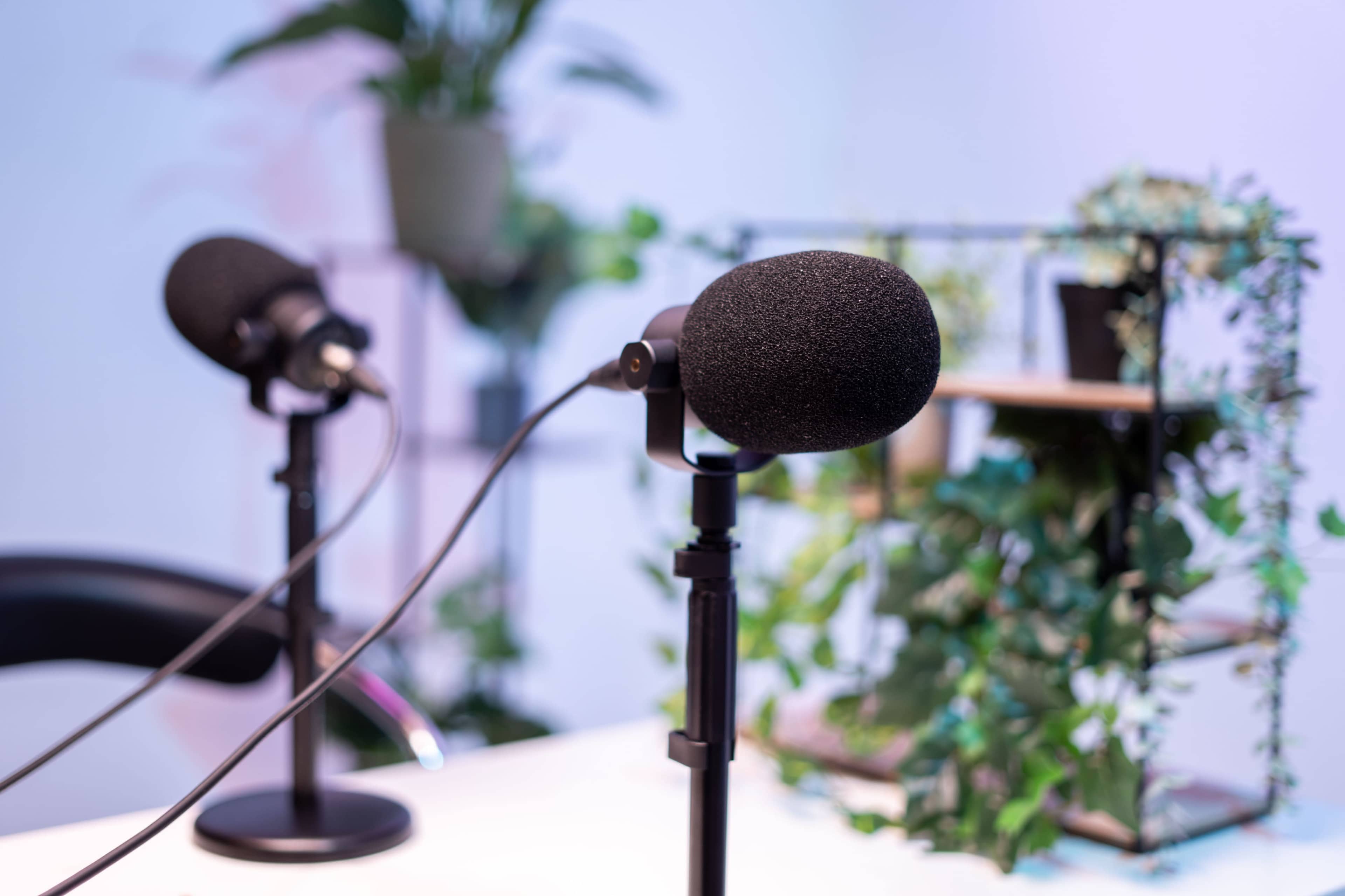 The image shows two microphone stands positioned on a table with plants in the background.