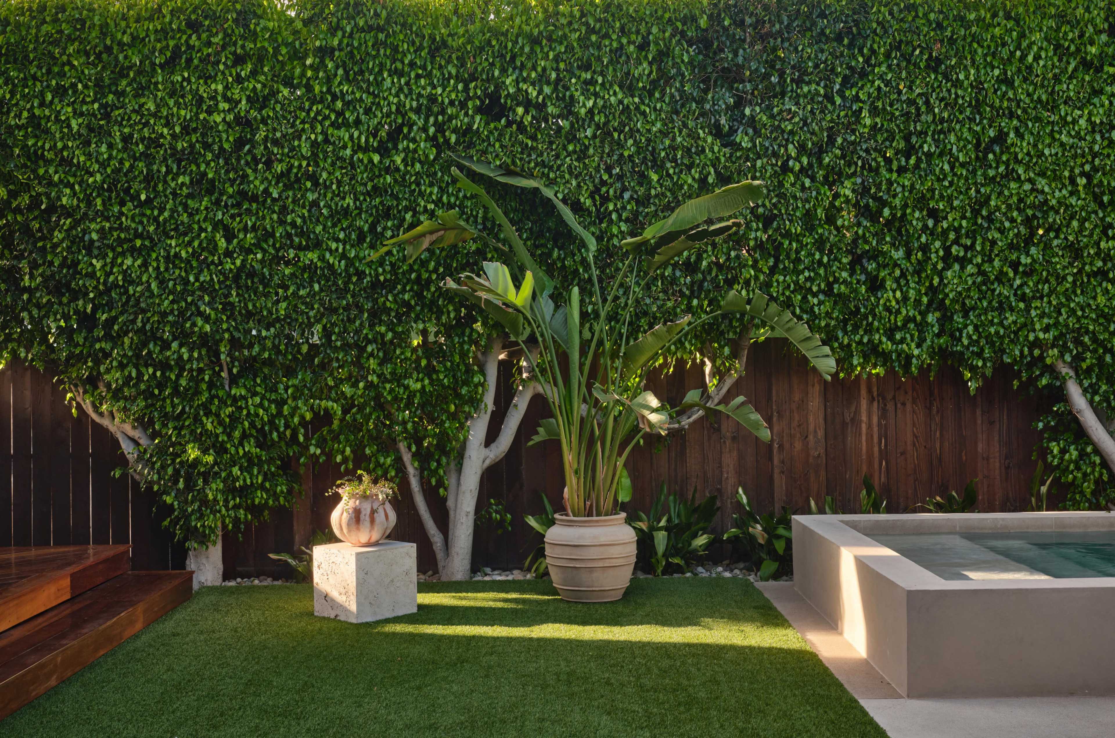 The image shows a landscaped backyard with a large potted plant, a concrete pedestal, and a modern pool surrounded by artificial grass and a wooden fence.