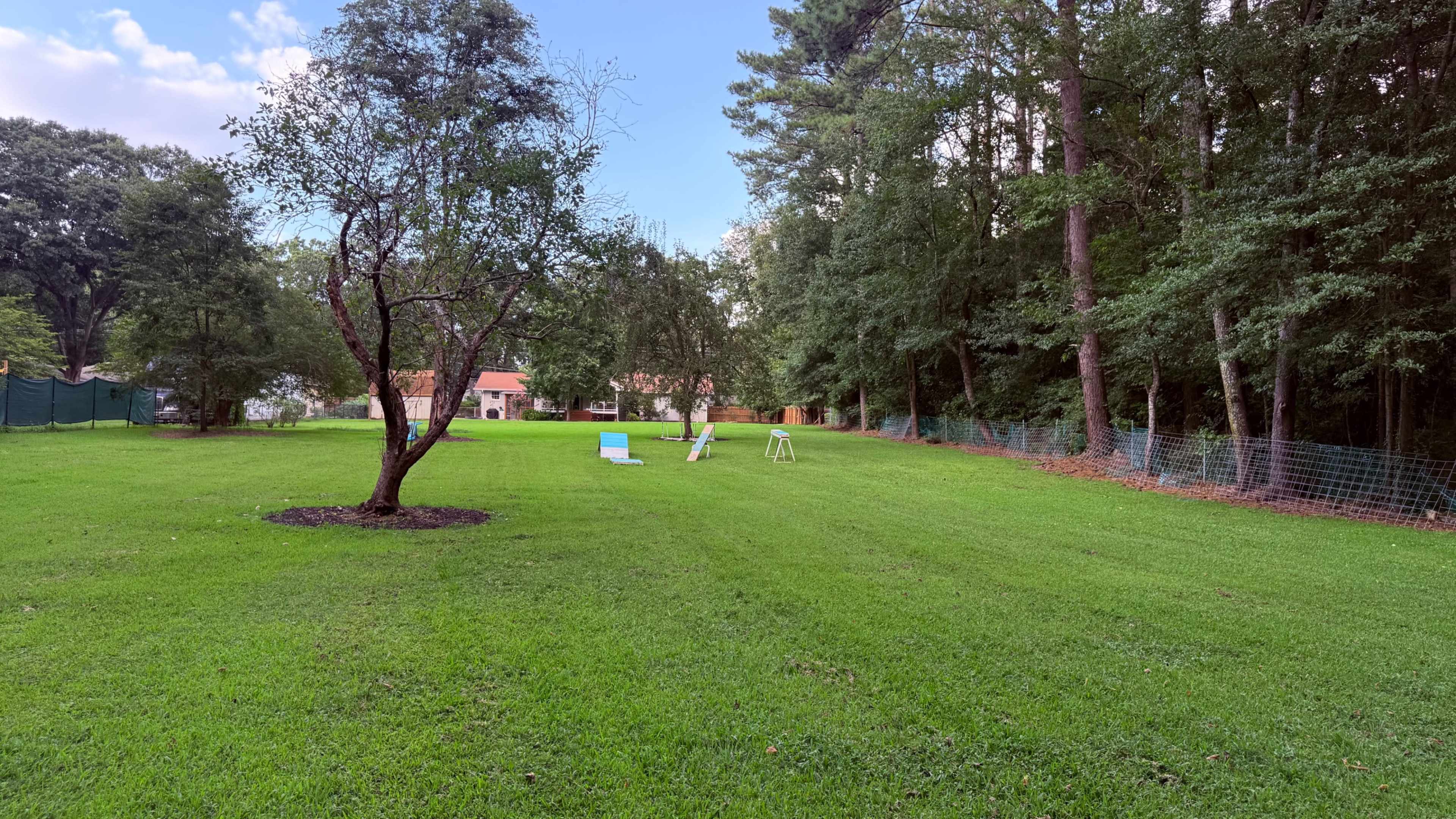 The image depicts a spacious green lawn with a few trees, a blue chair, and a children's swing set in the background, surrounded by trees and fencing.