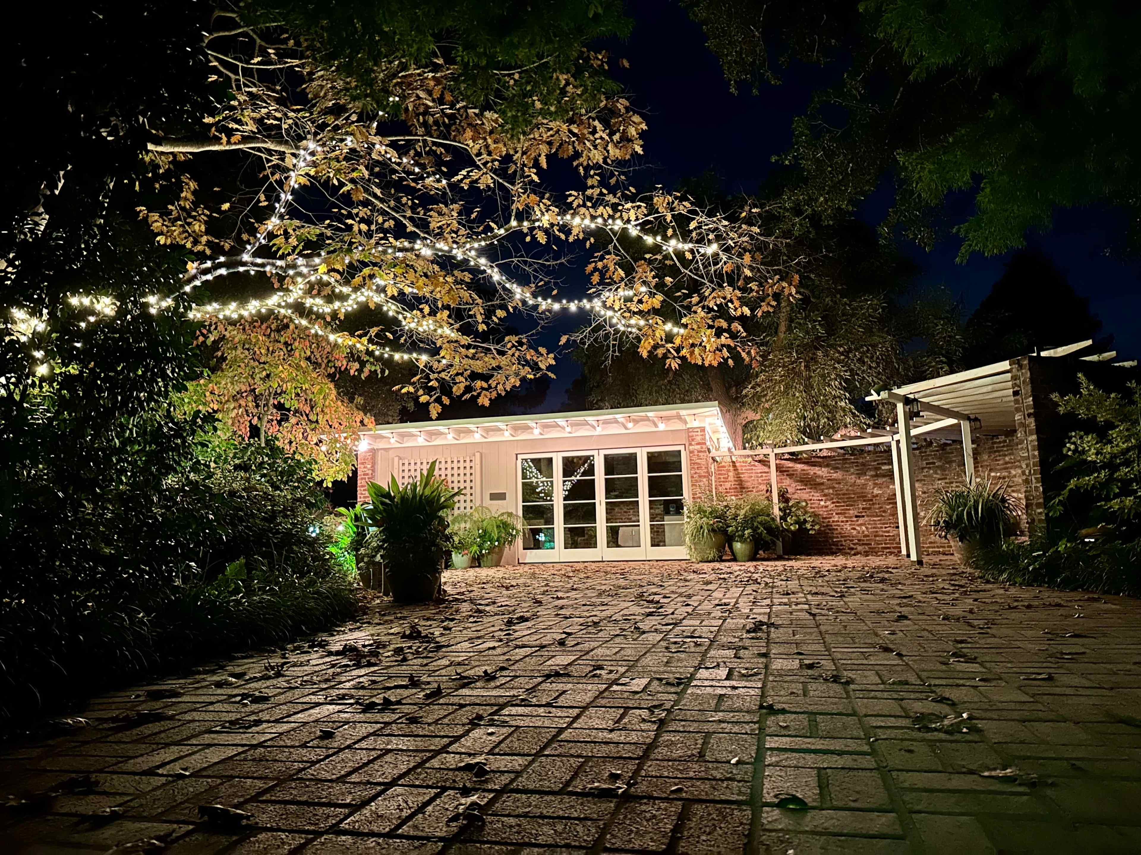 A well-lit patio adorned with string lights features a brick building surrounded by greenery and fallen leaves at night.