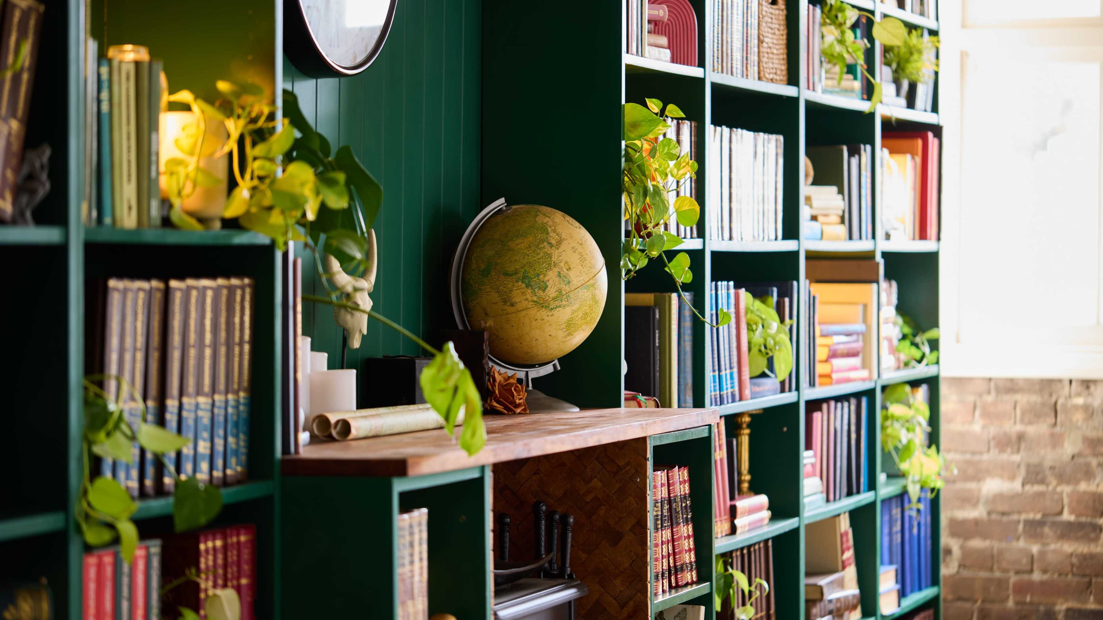 The image shows a green bookshelf filled with various books, a globe, and trailing plants.