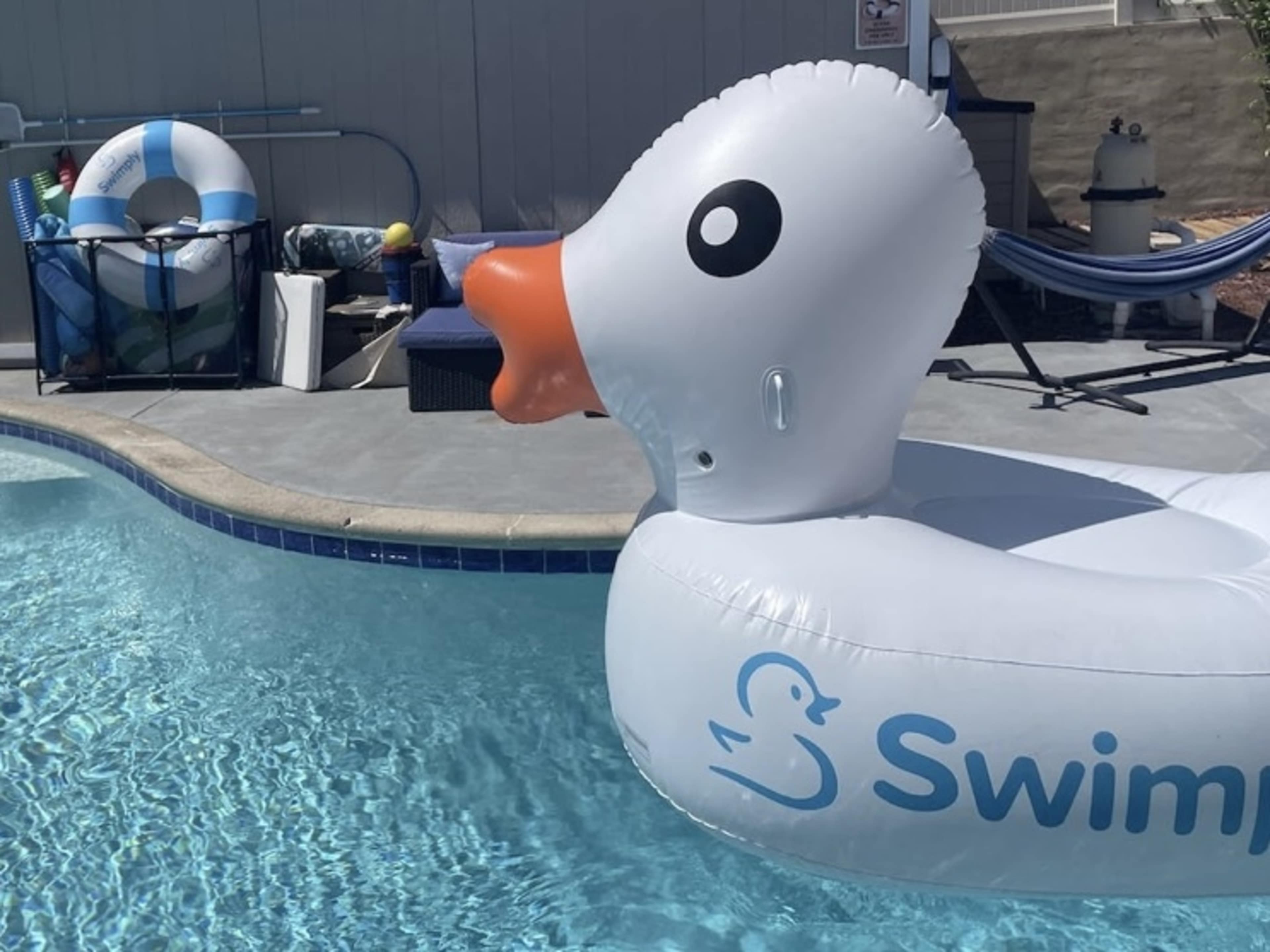 Pool Toys and floats 