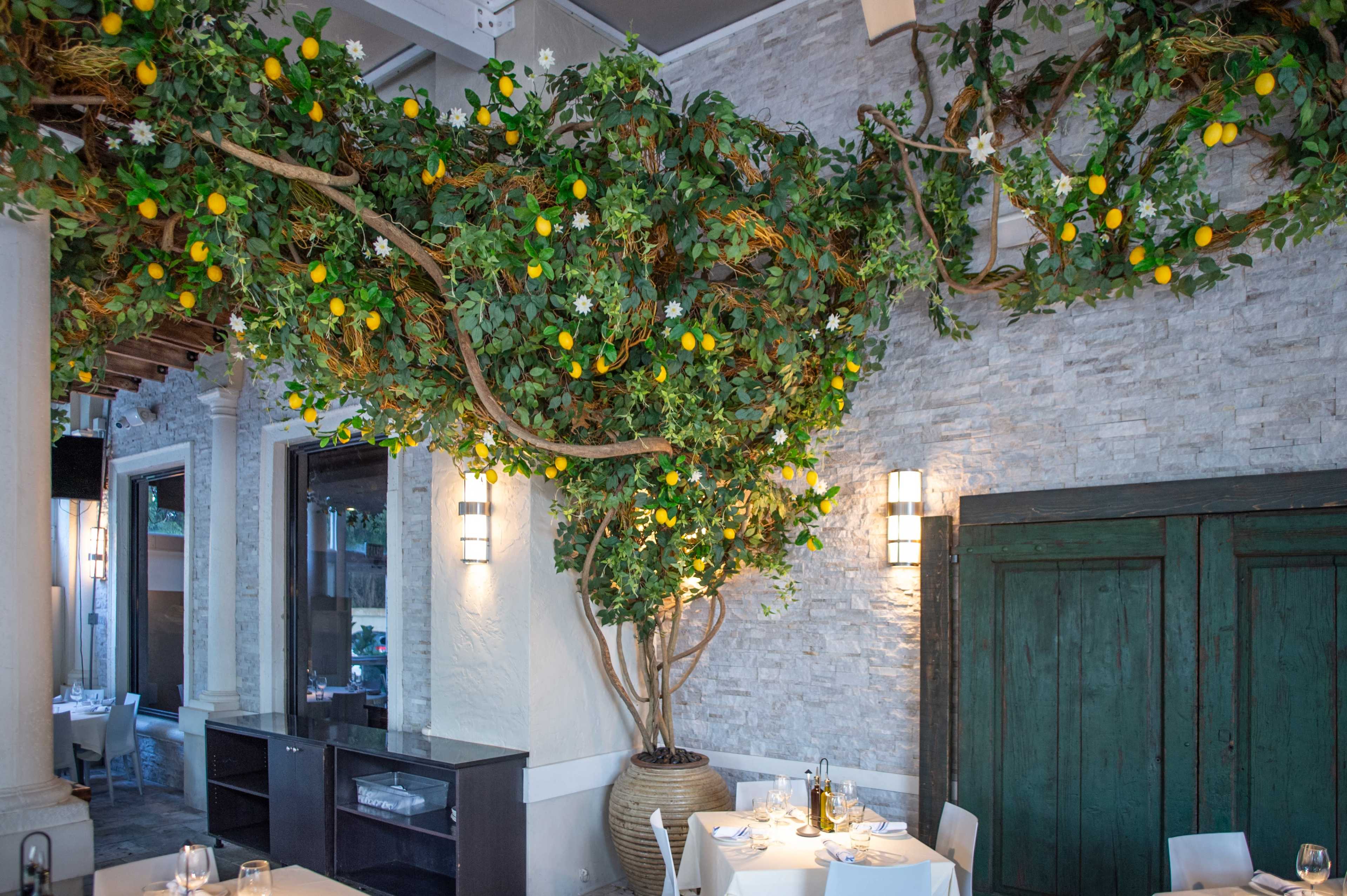 Spacious Covered Patio for Elegant Dinners & Rehearsals in Delray Image in , delray beach, FL