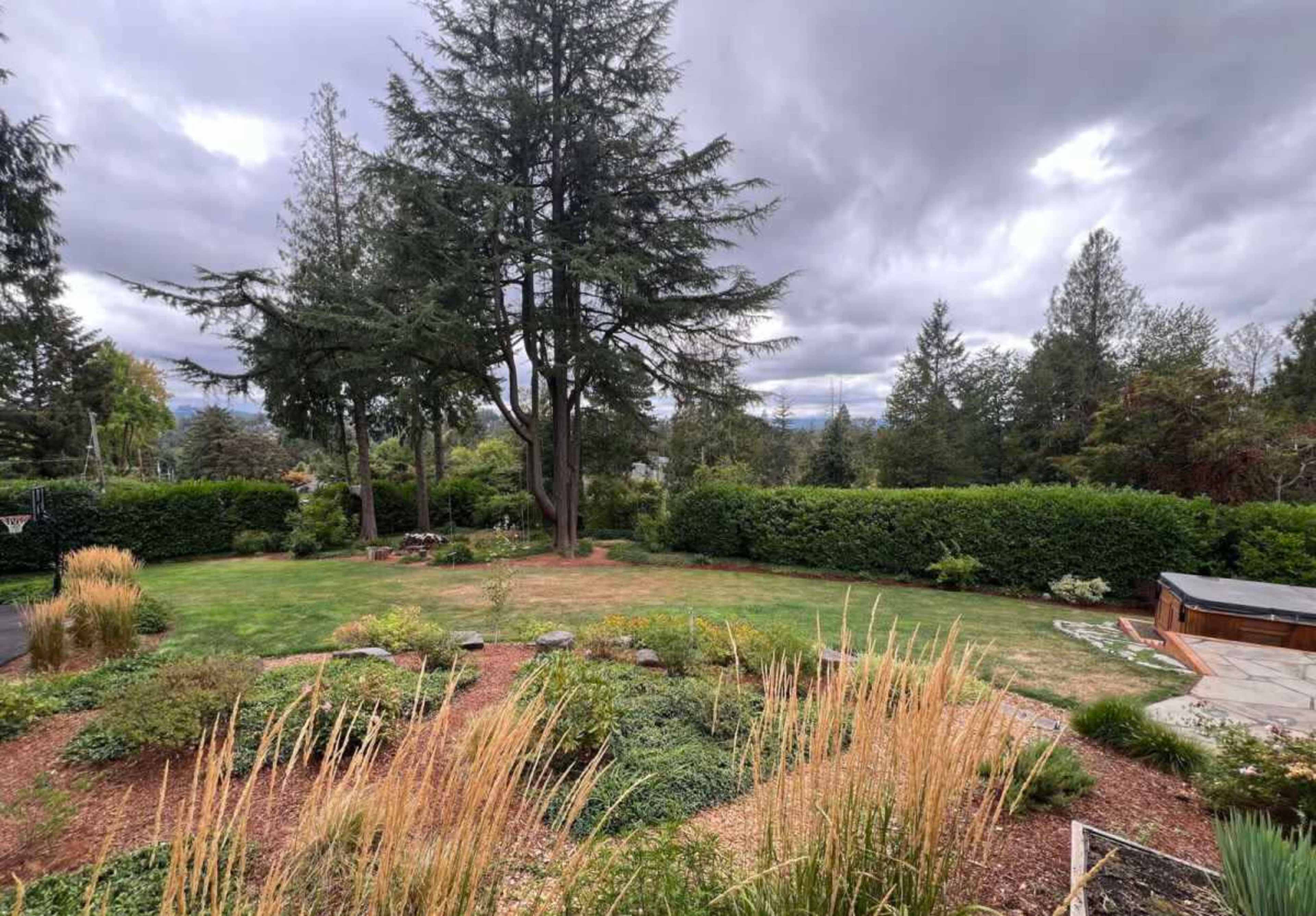 Stunning 1920s Craftsman with Redwood Forest Vibes Image in Southwest Portland, Portland, OR