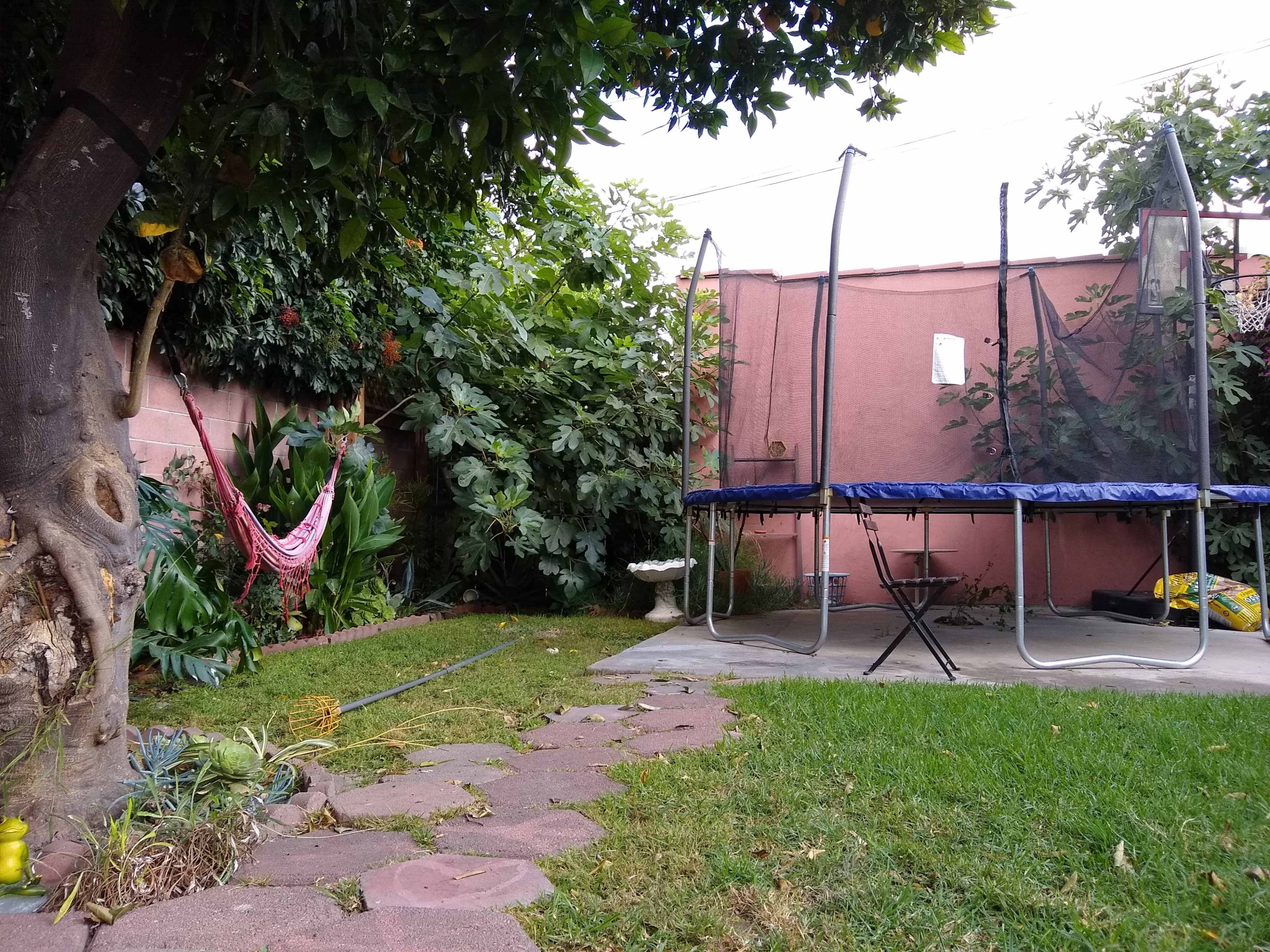 A backyard garden with a trampoline, a hammock, and a pathway made of stone pavers.