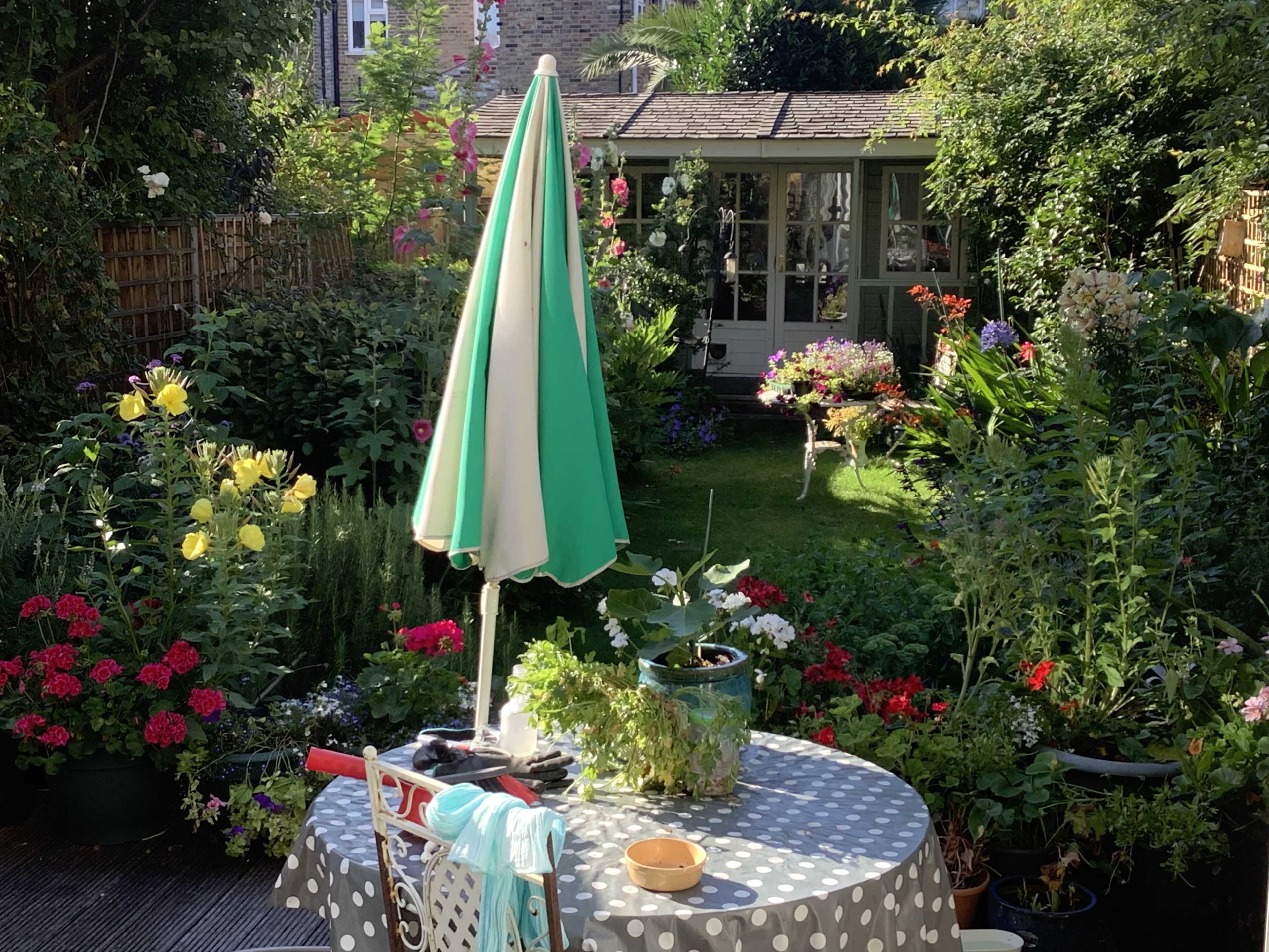 A table with a green and white umbrella is set in a garden filled with various blooming flowers and plants, leading to a shed in the background.