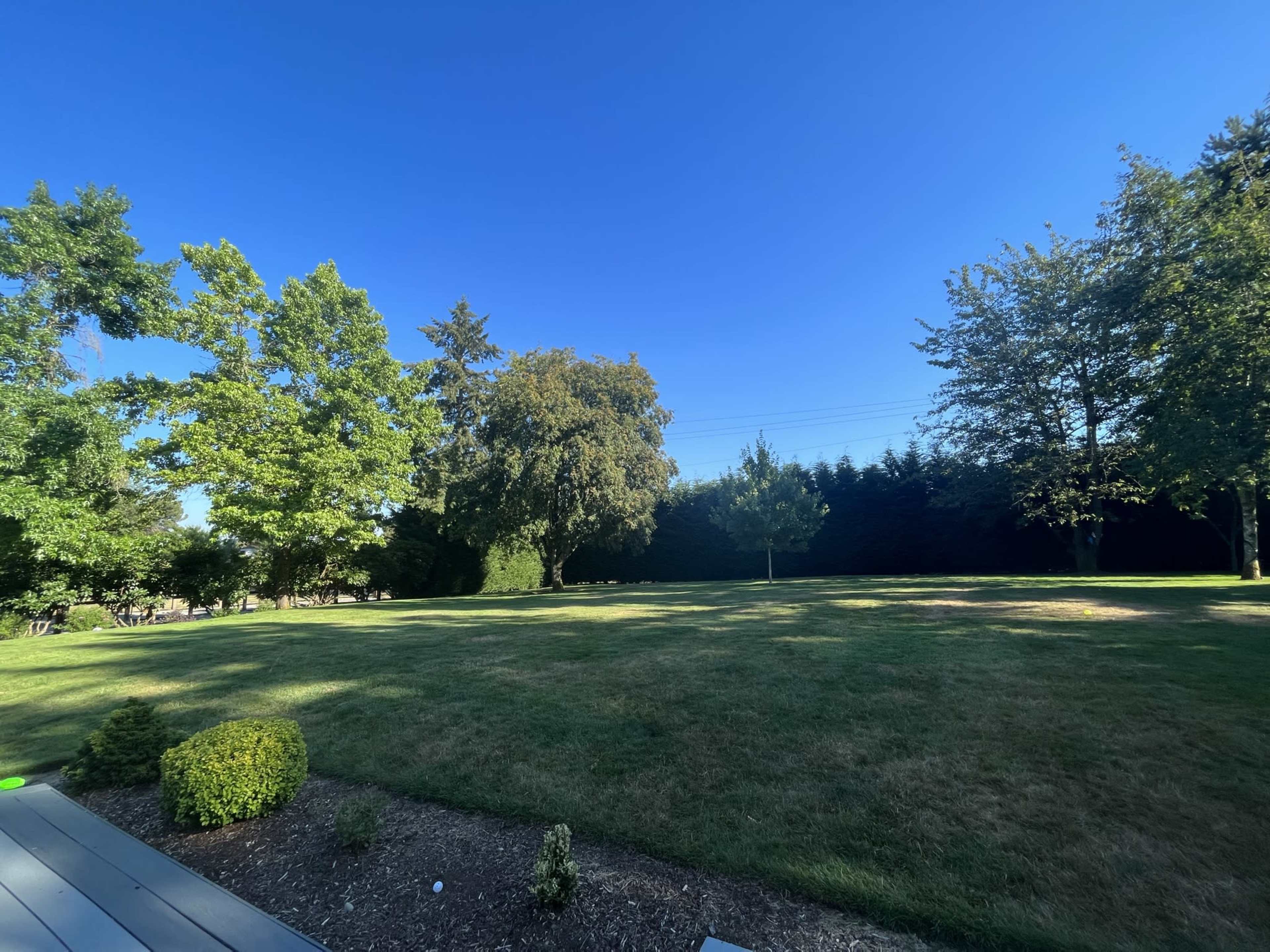 A wide, open grassy area bordered by trees under a clear blue sky.