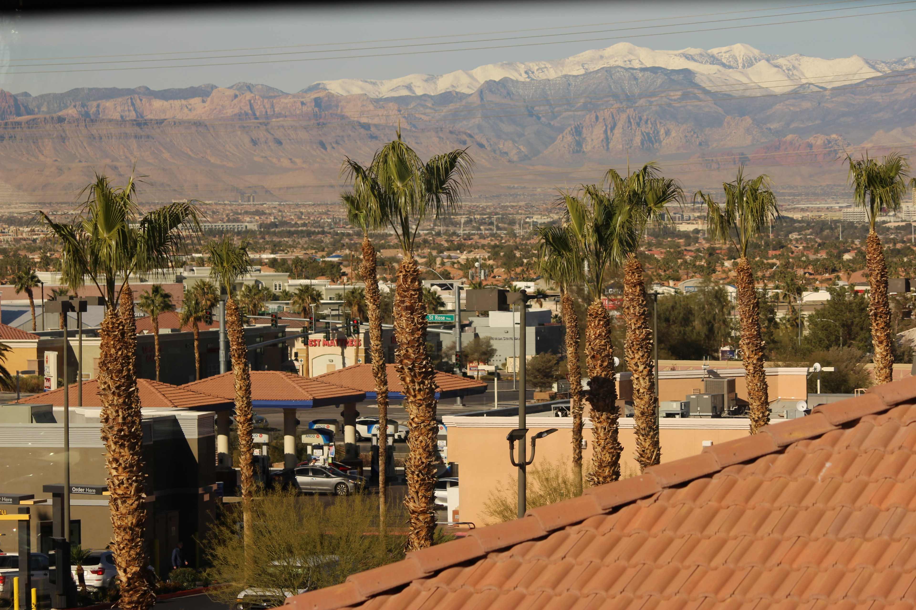 A view of palm trees in the foreground with a mountainous landscape in the background, capped with snow.