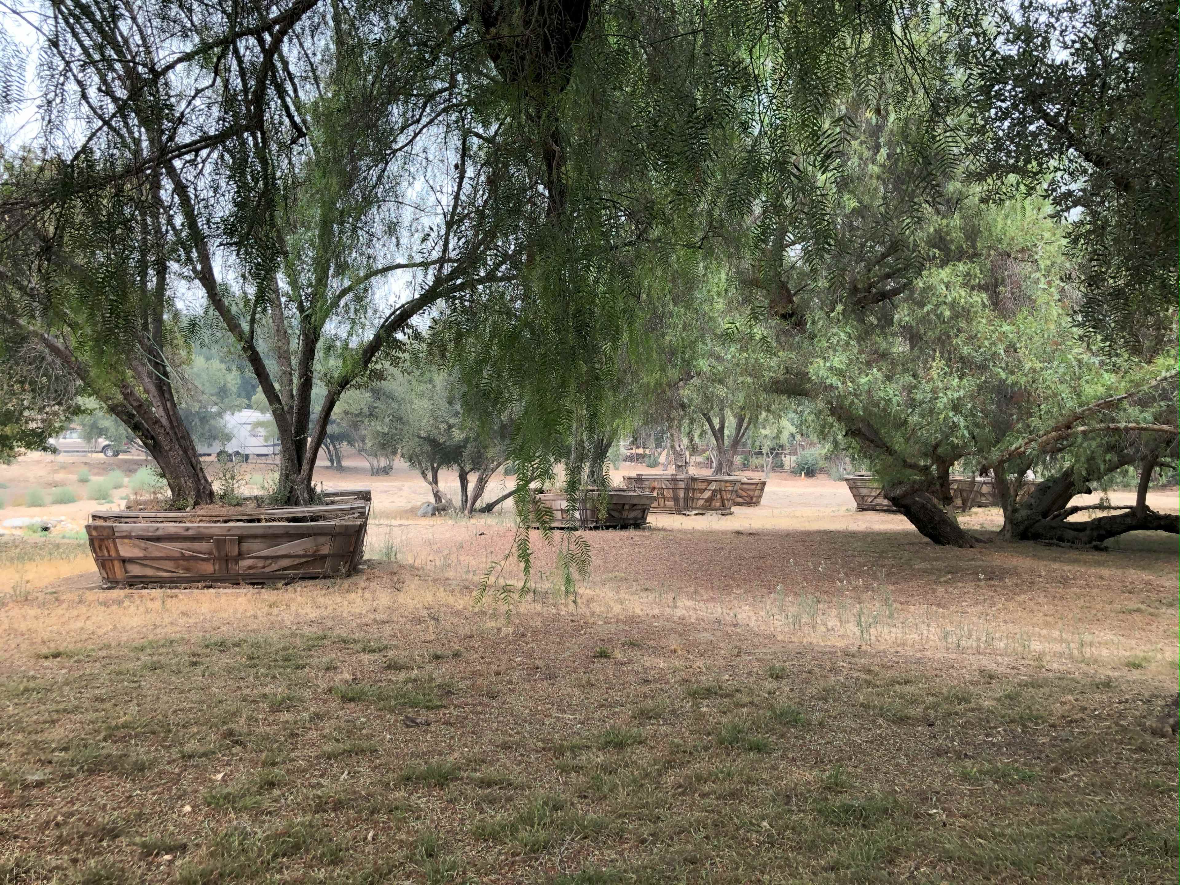 The image shows several wooden planters arranged on a grassy area, surrounded by trees.