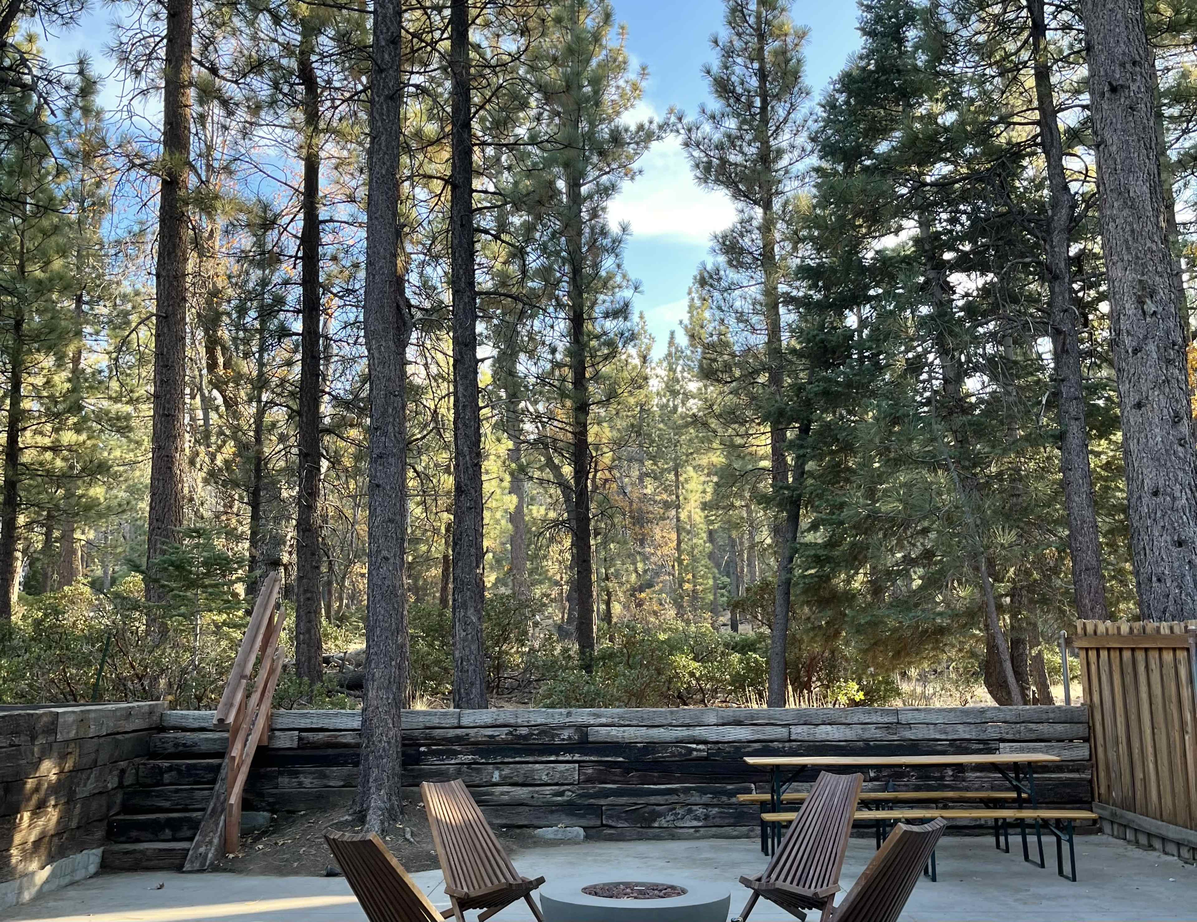 The scene shows a clearing in a forest with a circular stone fire pit surrounded by wooden chairs and a picnic table in the background.