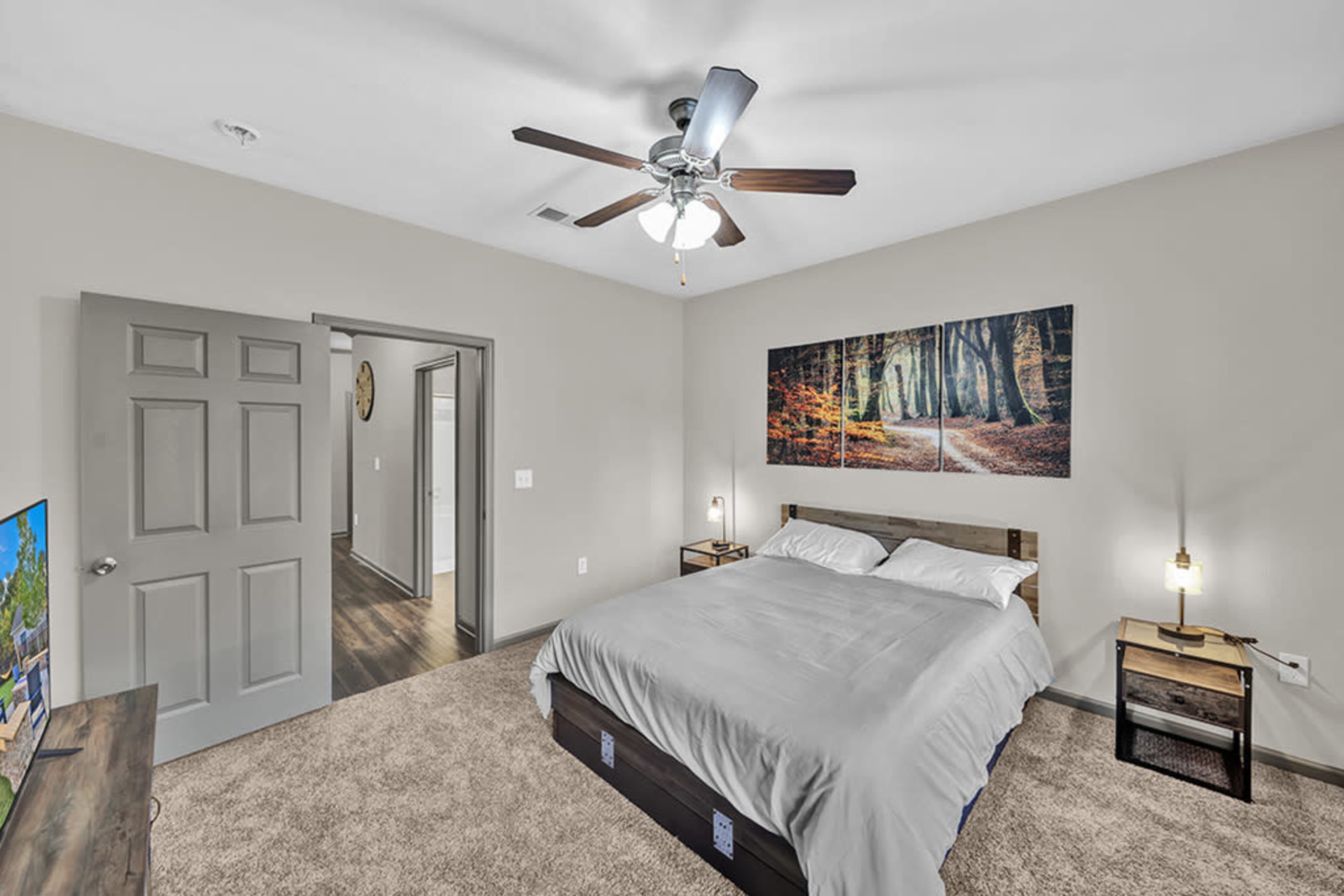 A bedroom features a bed with a light gray comforter, two bedside lamps, a television, and a photo of a forest on the wall, with a door leading to a hallway.