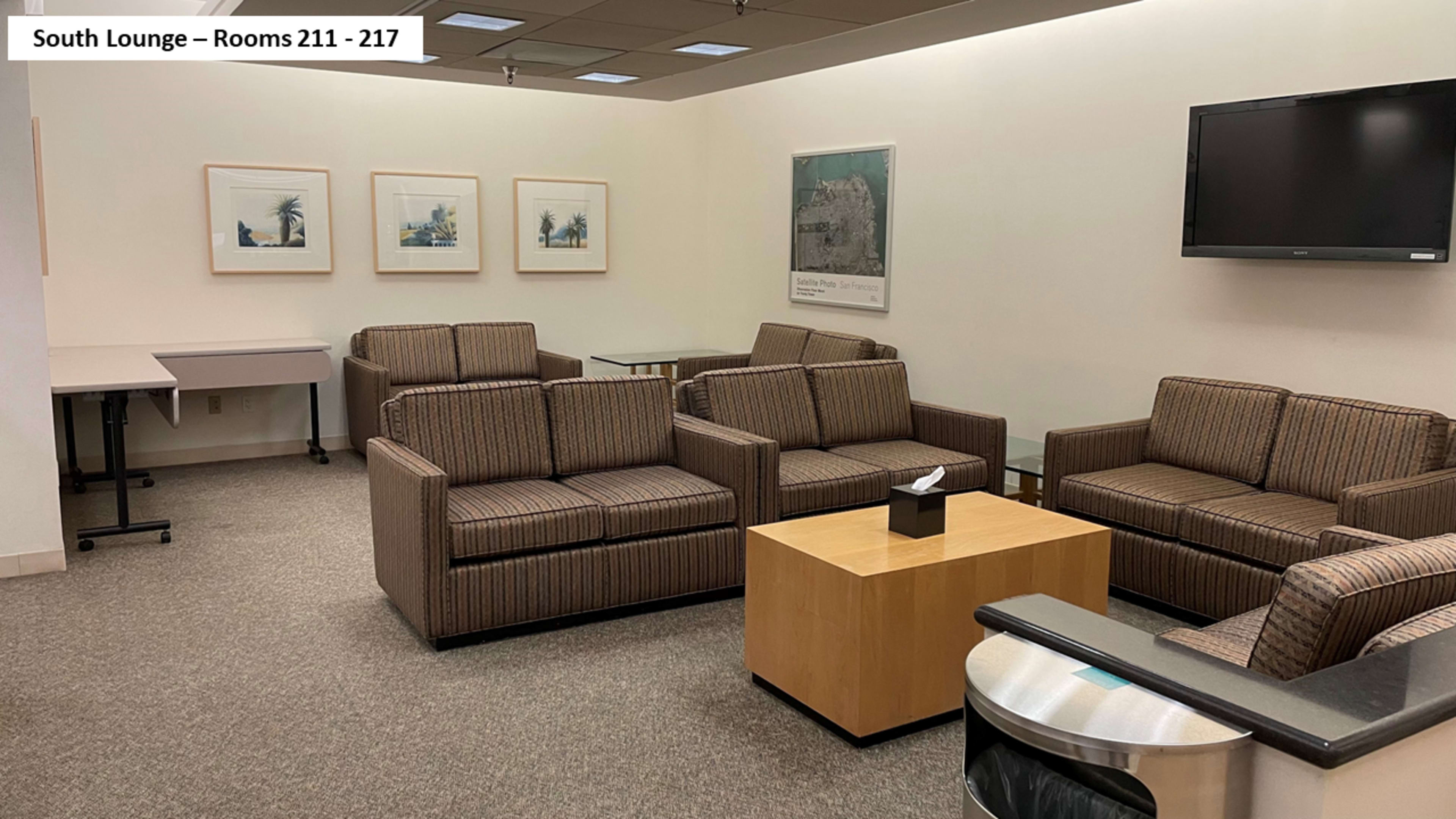 A South Lounge area with several brown striped sofas, a wooden coffee table, a television mounted on the wall, and framed pictures hanging above.