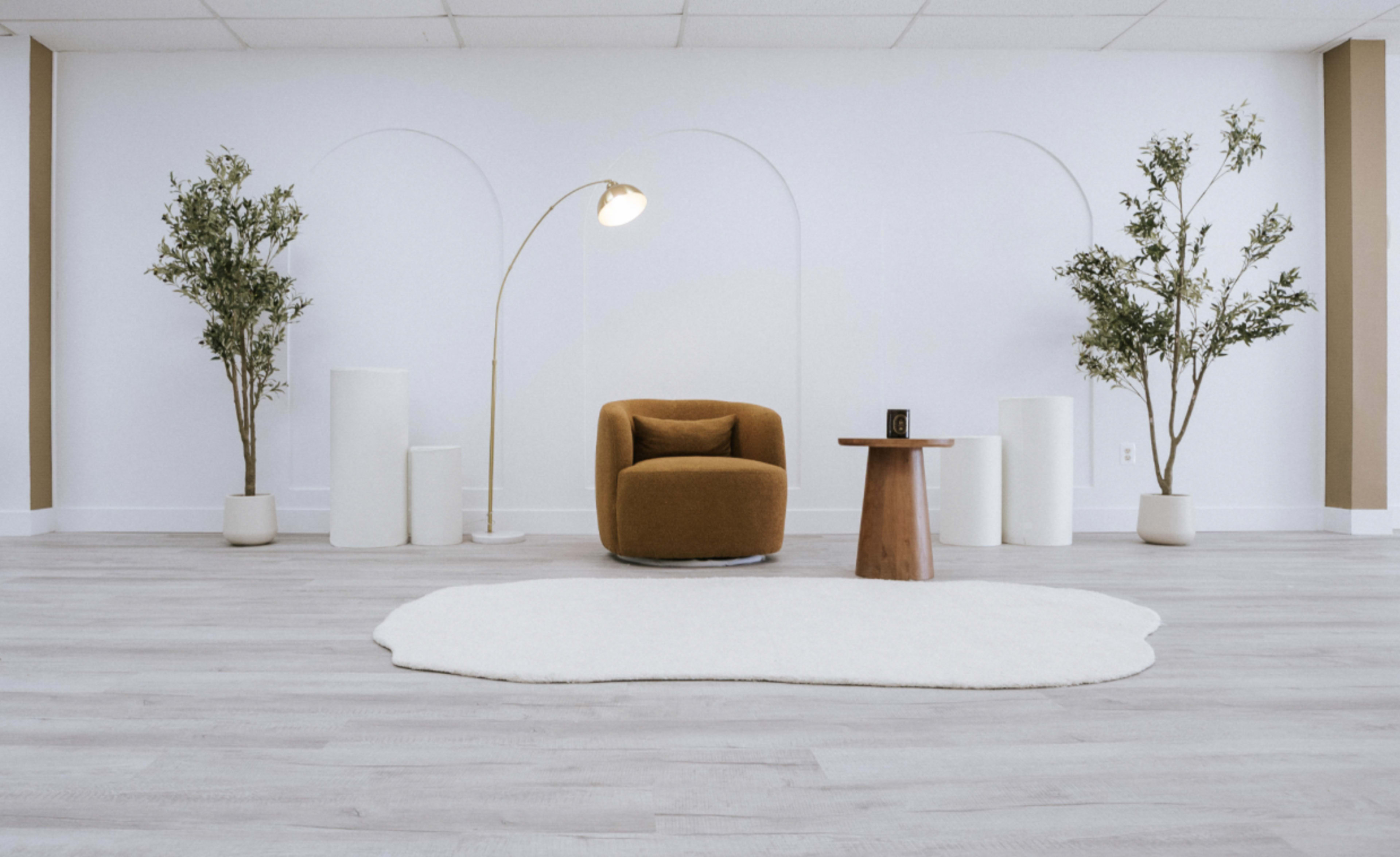 The image shows a minimalist interior space featuring a brown armchair, a wooden side table, and two potted trees, set on light-colored flooring with a white rug.