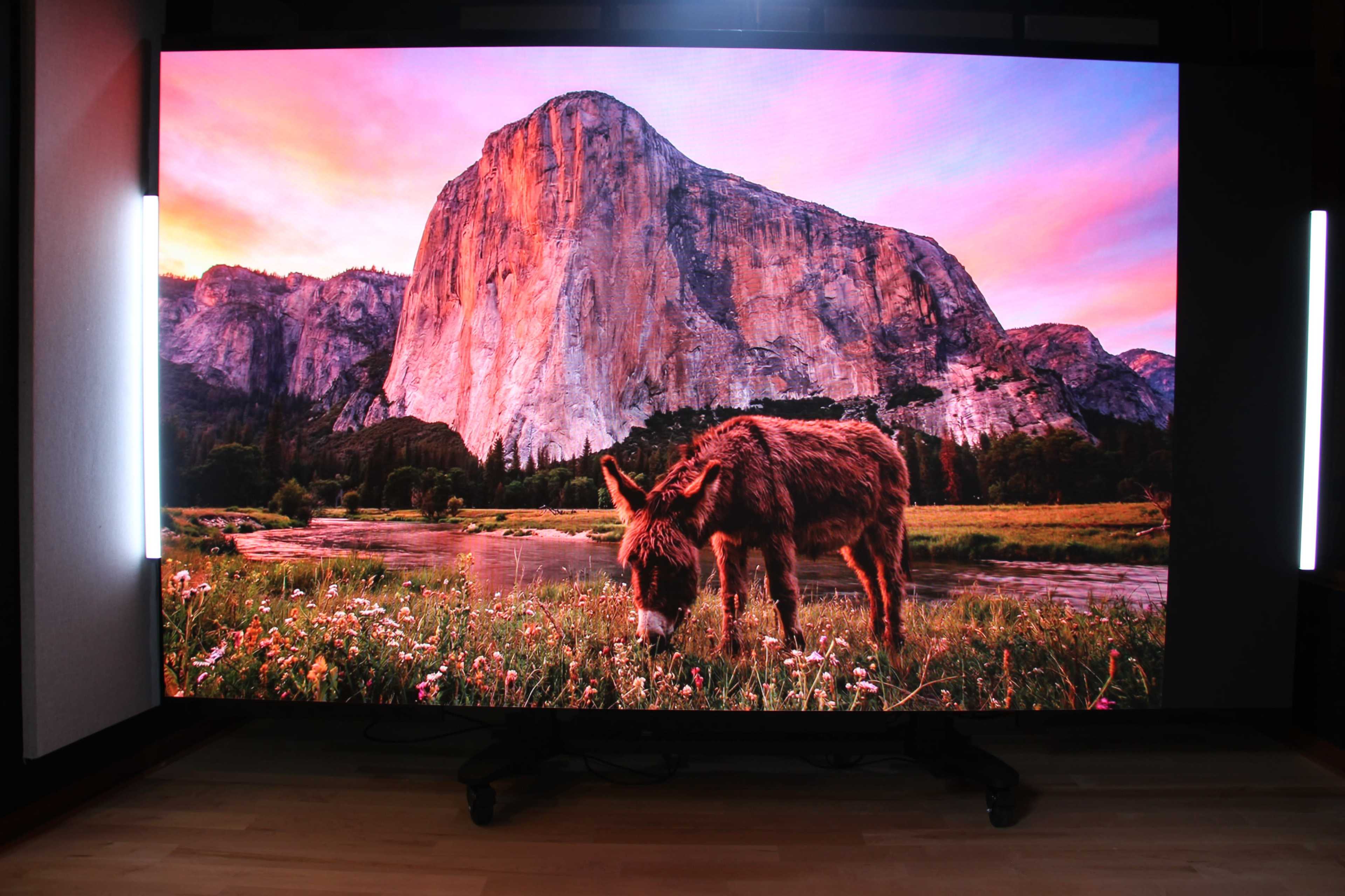 A large screen displays a scenic image of a mountain and a donkey grazing in a field of flowers.