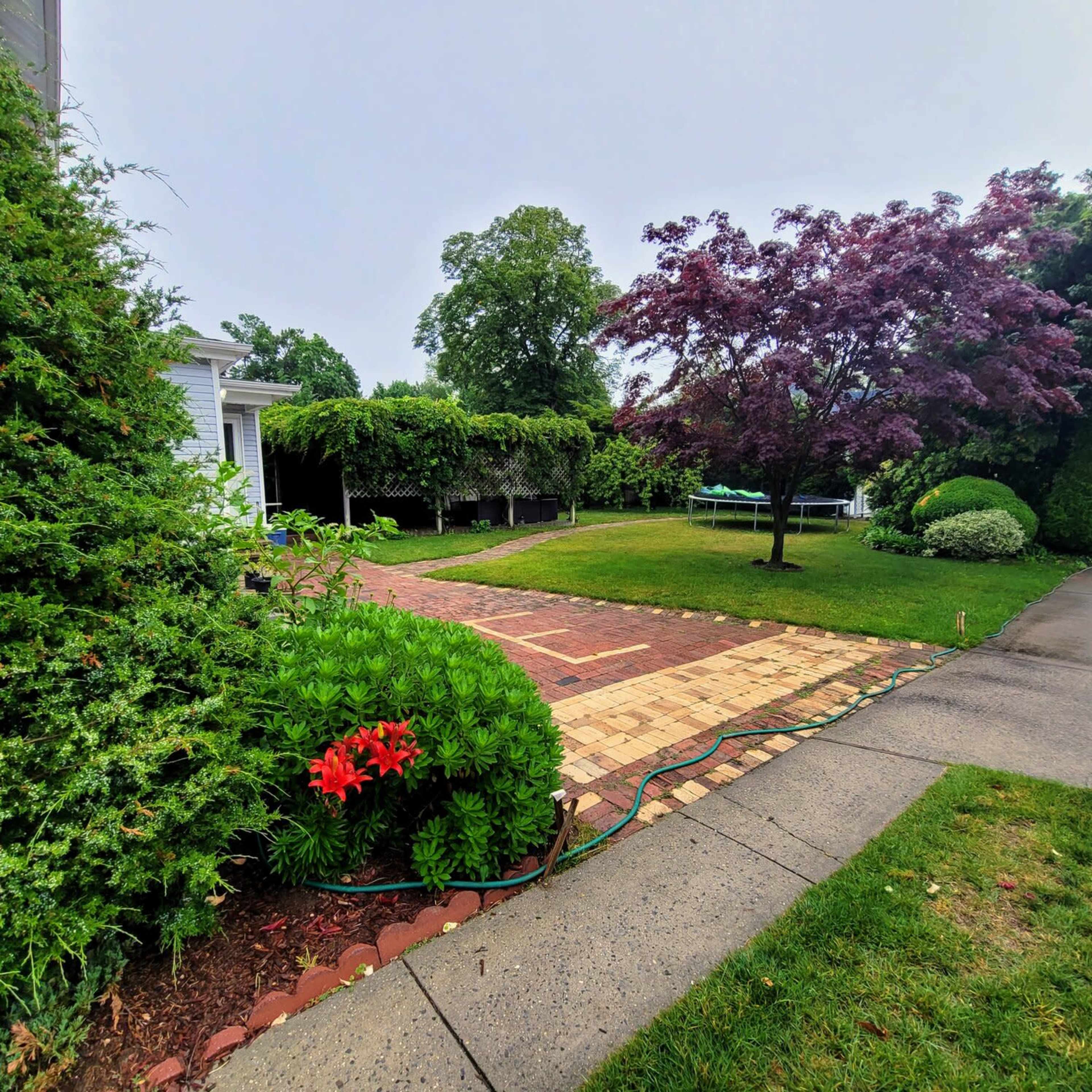 A landscaped yard with a brick pathway leading through greenery and a flowering tree in the background.
