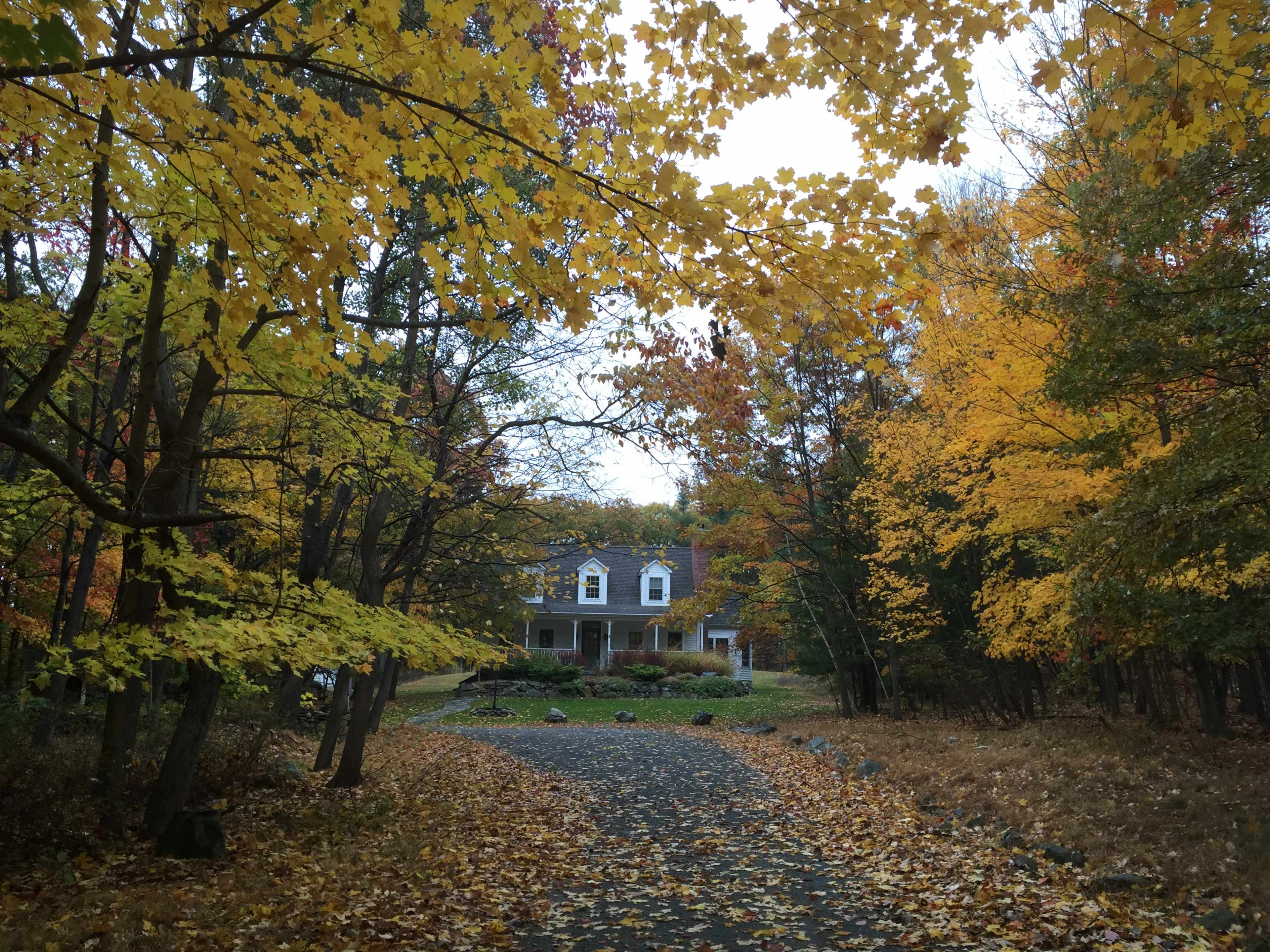 A gravel path lined with autumn foliage leads to a house surrounded by trees with colorful leaves.
