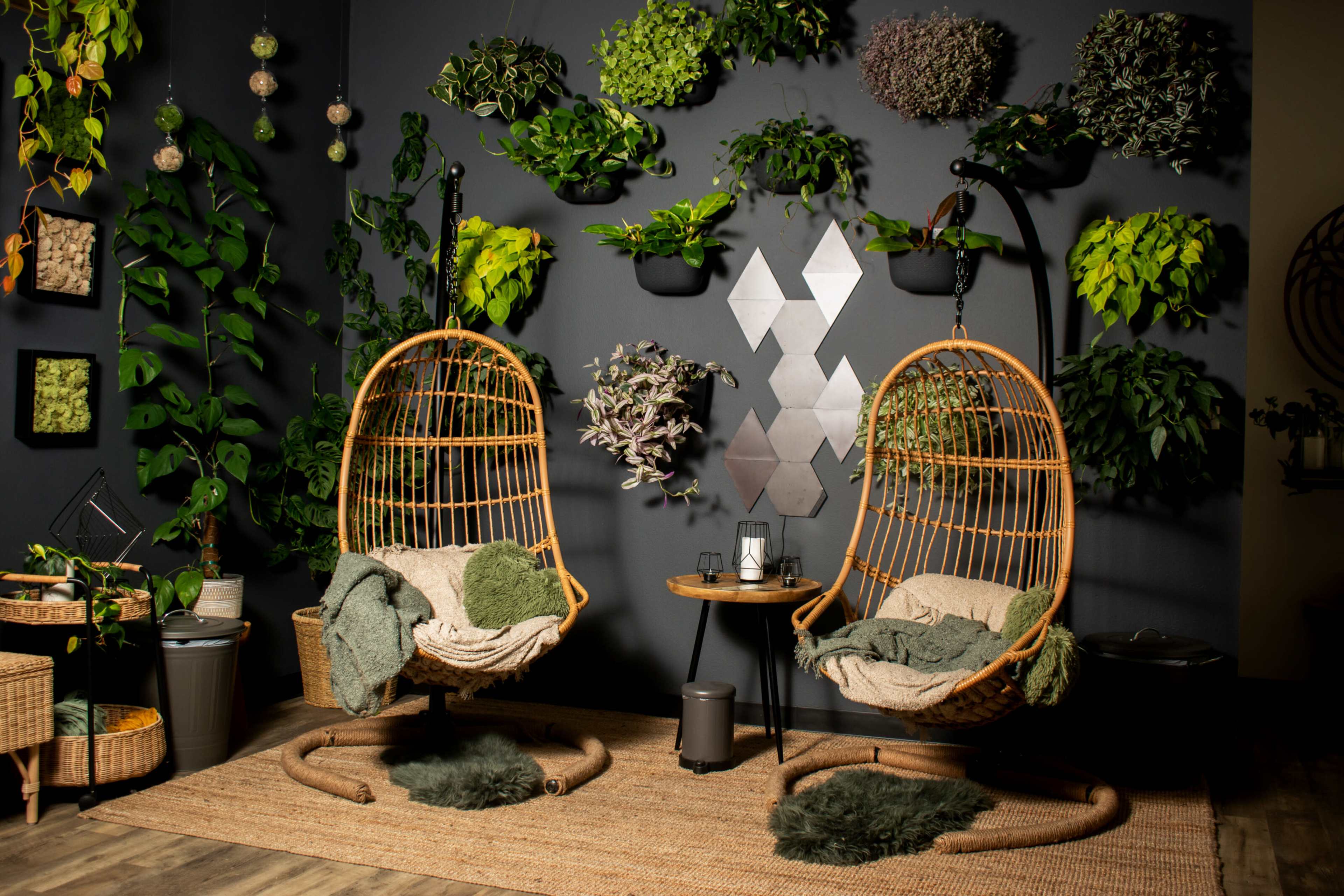 Two hanging rattan chairs placed beside a small table, surrounded by a variety of plants mounted on a dark wall.