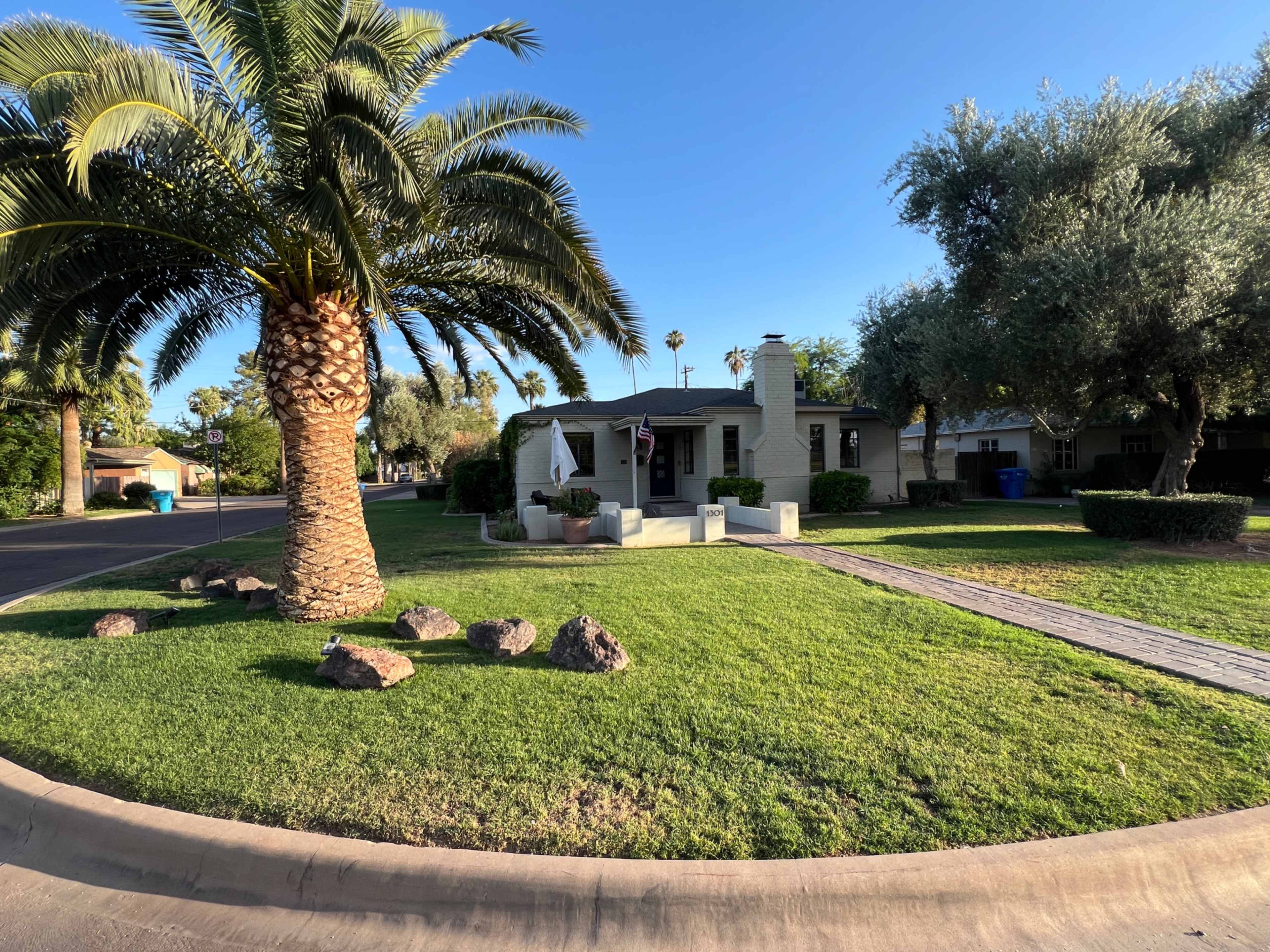 The image shows a single-story house surrounded by palm trees and well-maintained landscaping on a curved street.