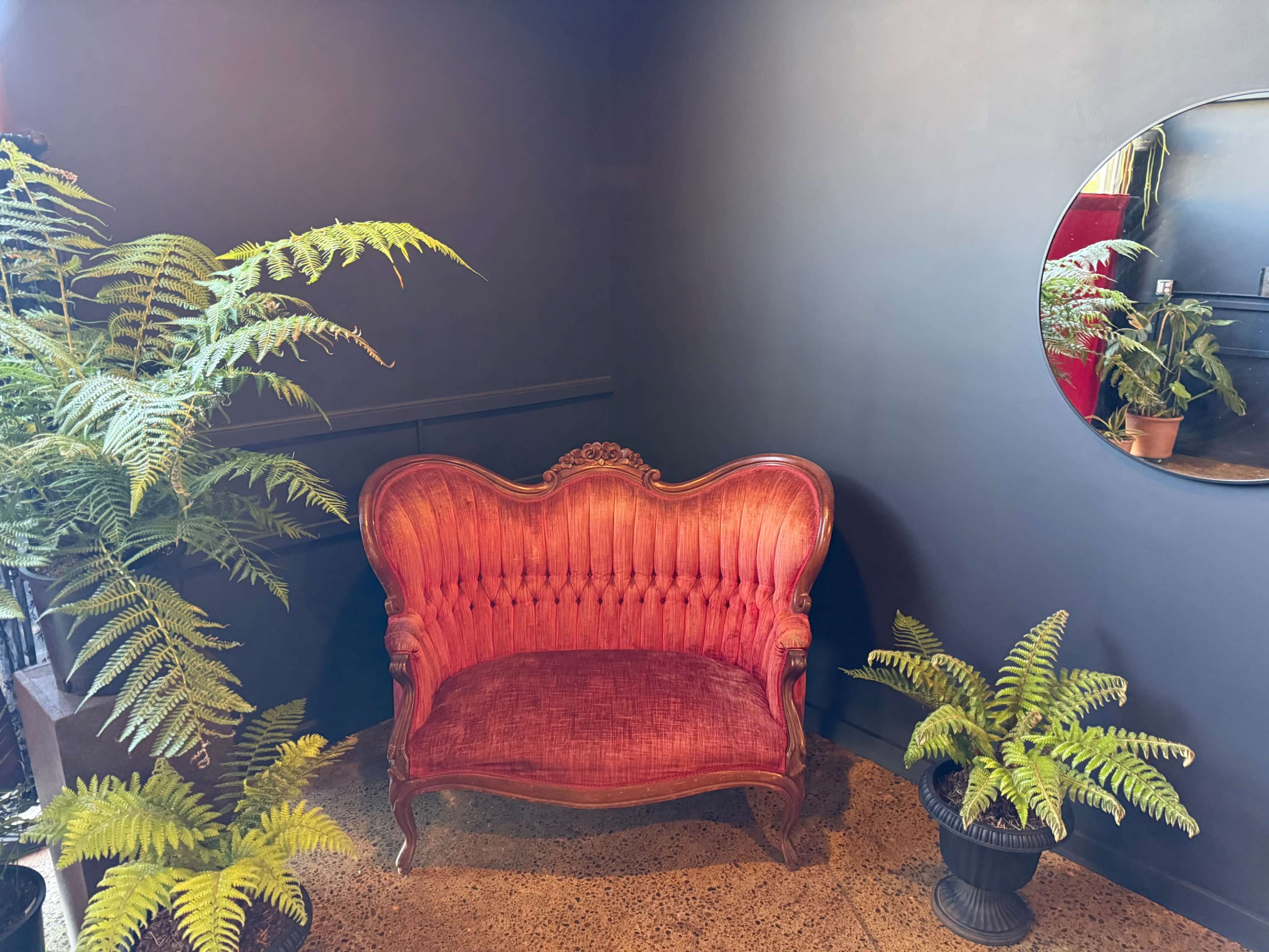 A red upholstered vintage loveseat is positioned against a dark wall, flanked by ferns in black pots, with a round mirror reflecting part of the scene.