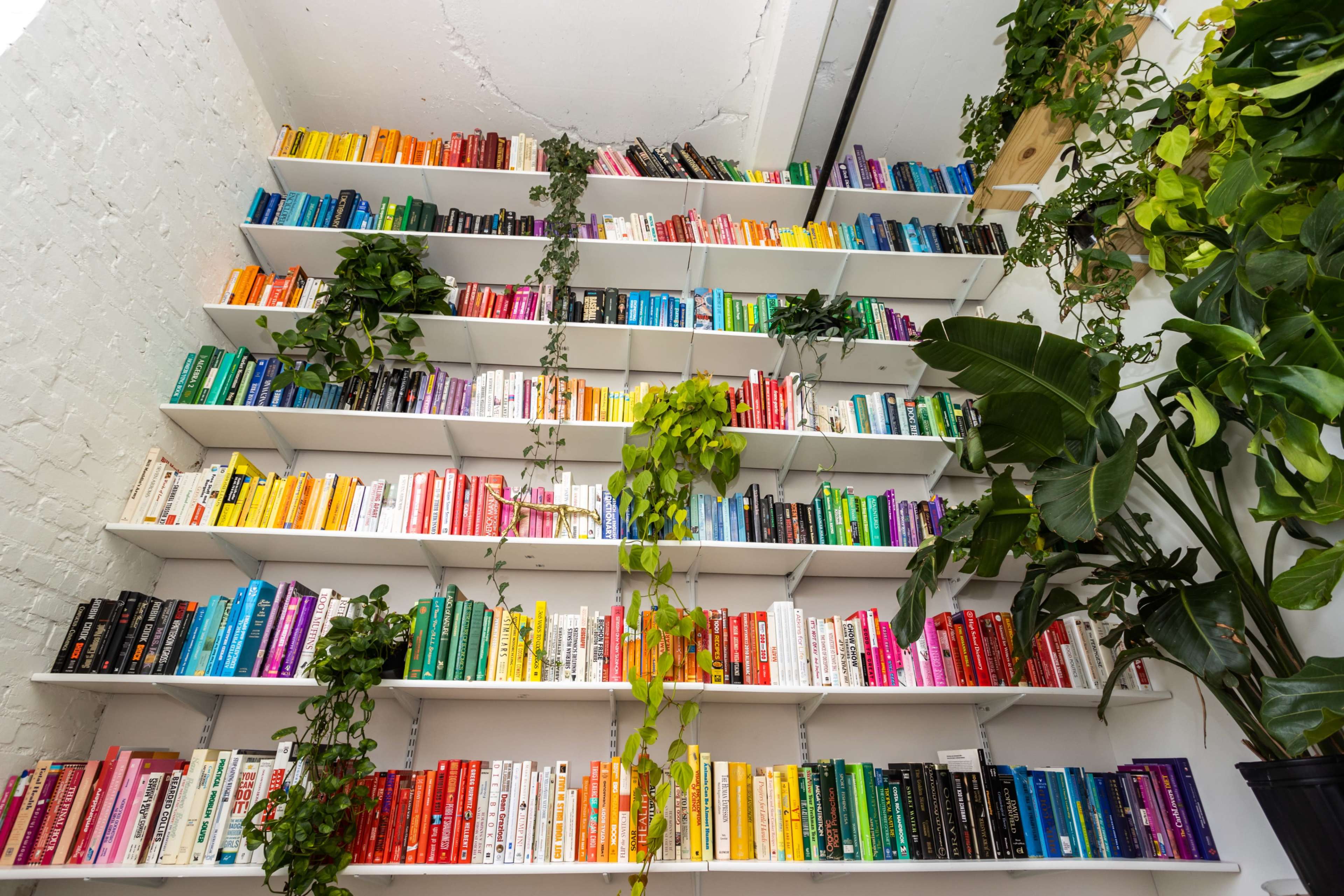 A wall-mounted bookshelf displays a vibrant array of books organized by color, with green plants cascading down among the shelves.
