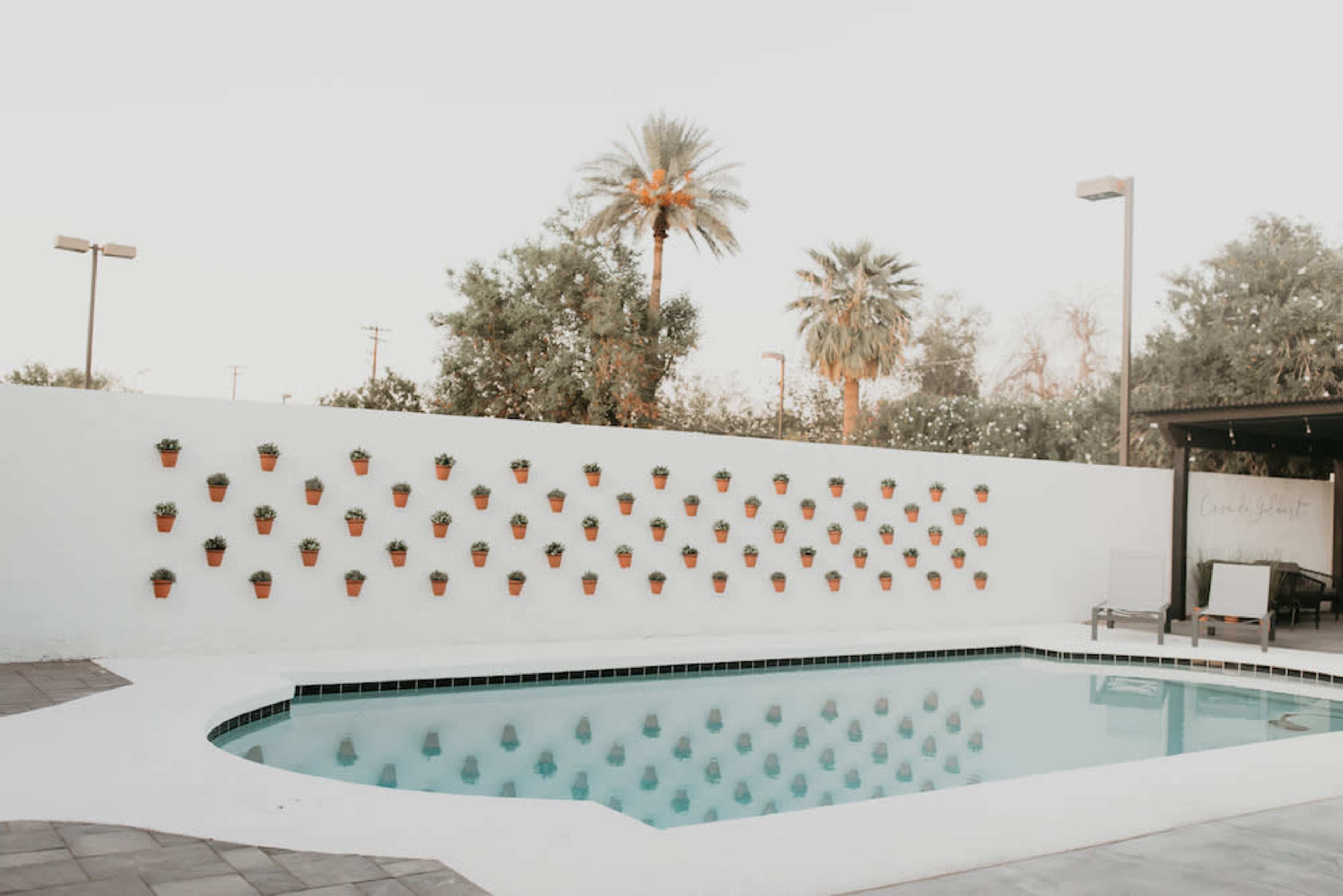 A swimming pool surrounded by palm trees and a wall adorned with small potted plants.