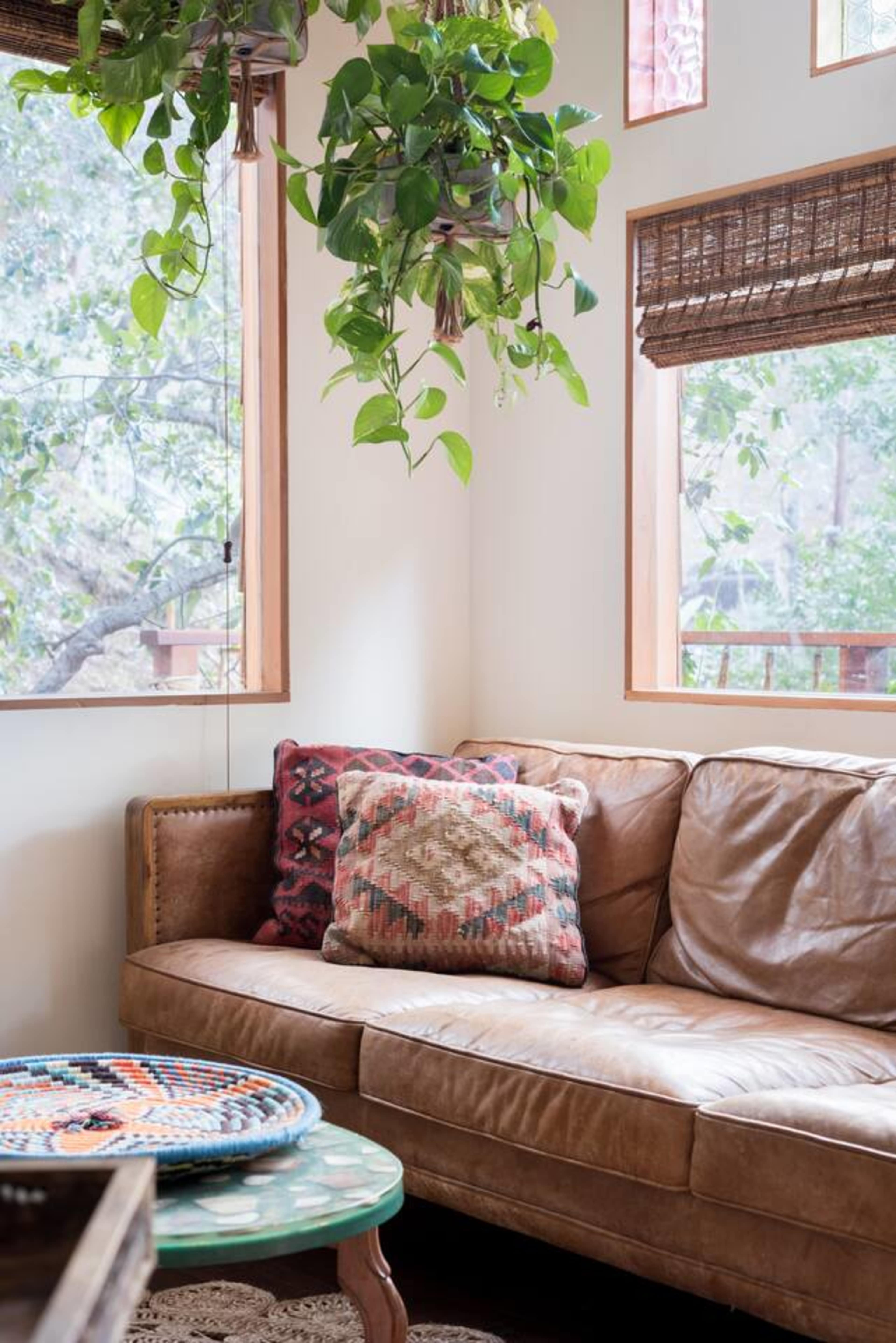 A leather couch with patterned pillows is positioned under hanging plants near windows with wooden blinds.