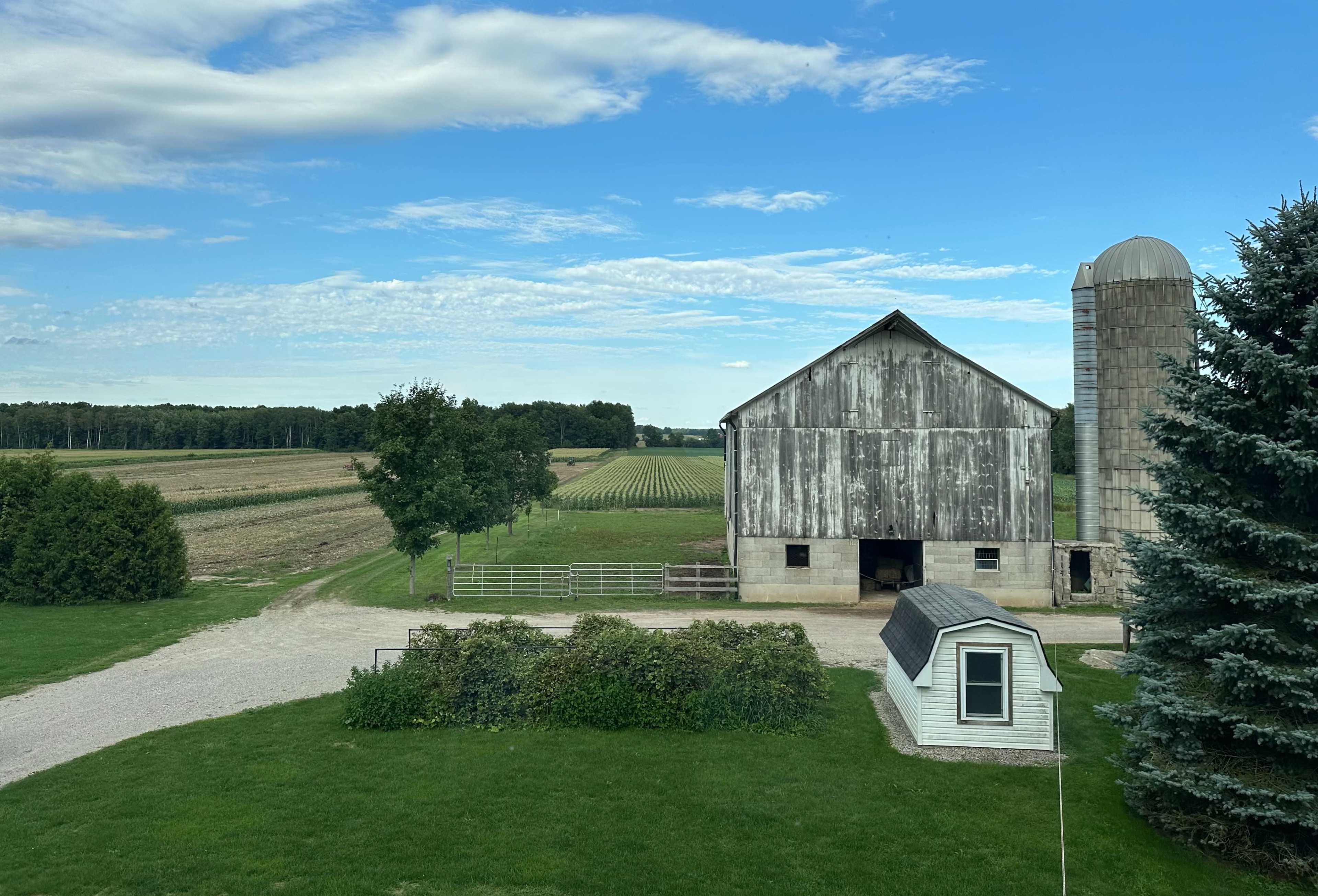 A weathered barn and grain silo are surrounded by fields and a small outbuilding under a blue sky.