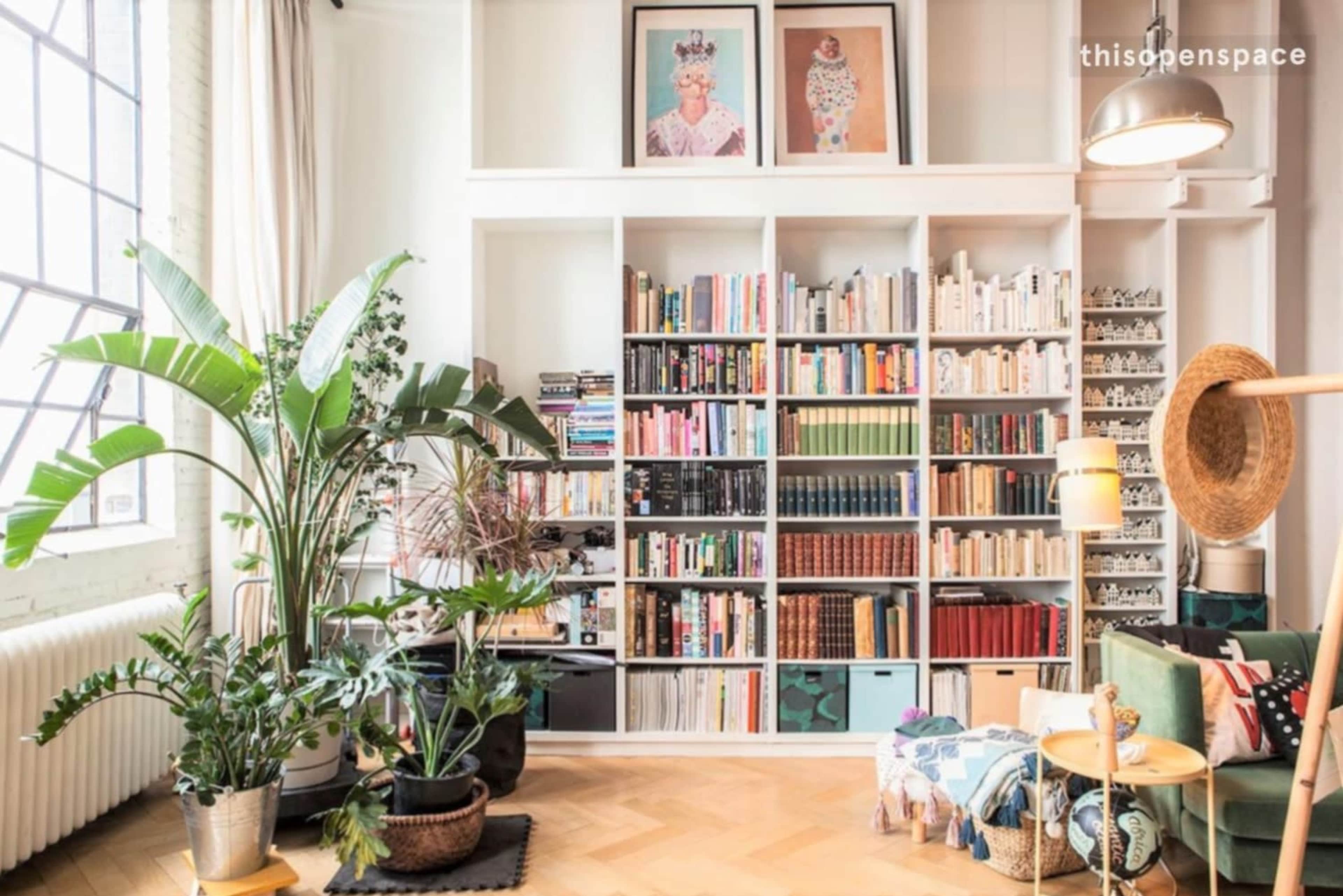 A bright room with a large bookshelf filled with books, a potted plant, and a cozy seating area.