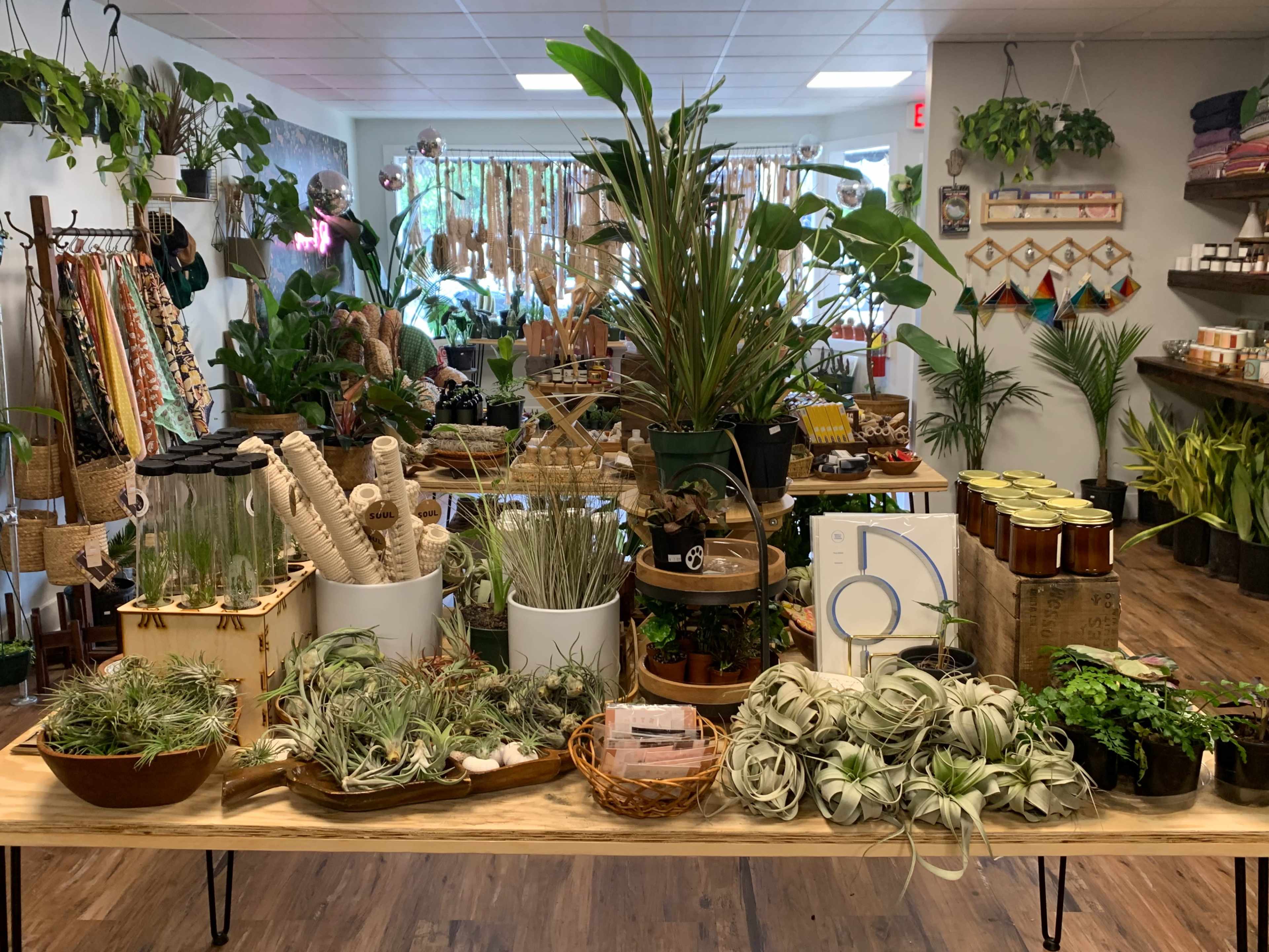 The image shows a variety of plants, gardening supplies, and decorative items displayed on wooden tables inside a shop filled with greenery and natural decor.