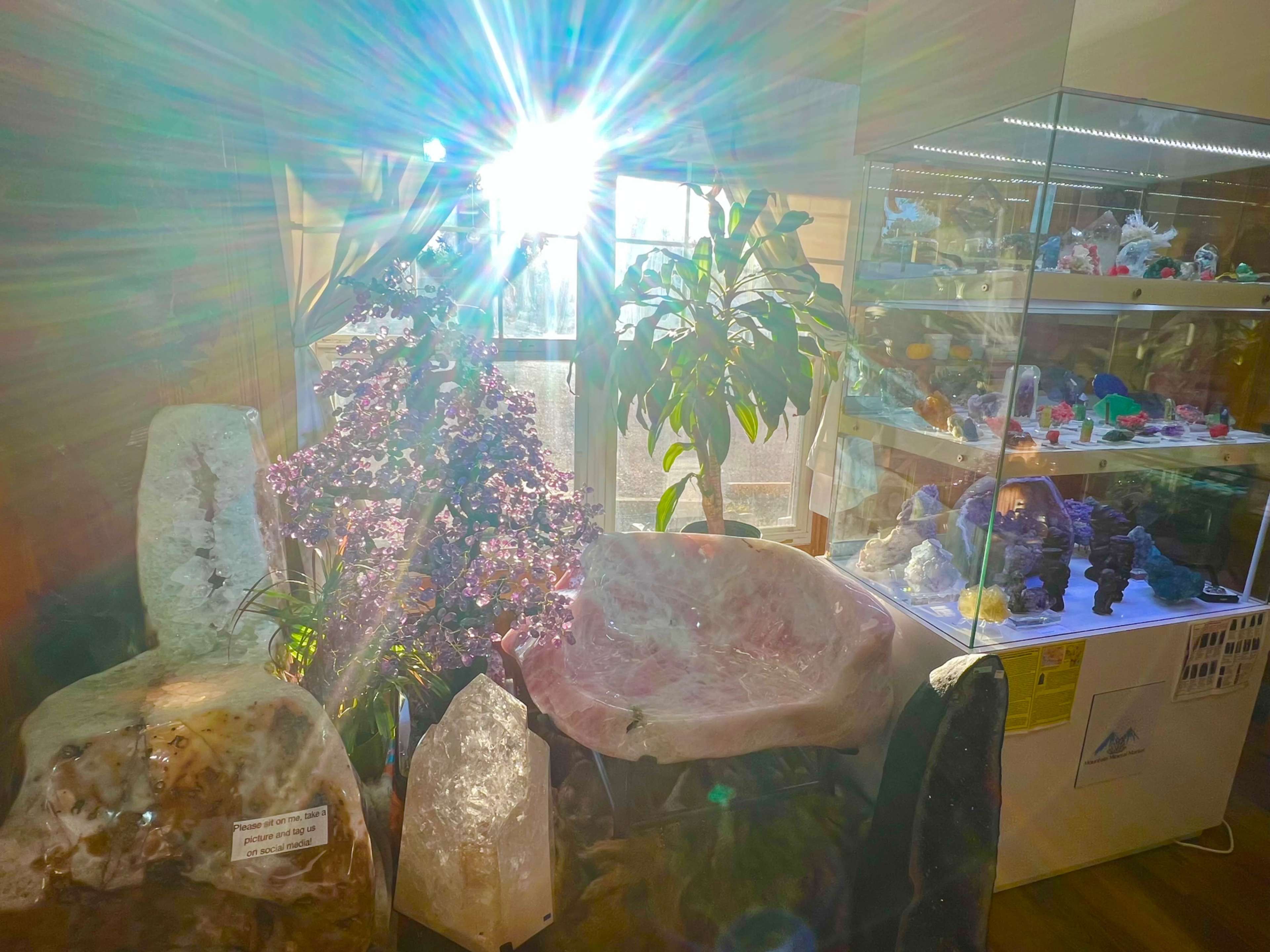 Crystal and plant filled event space Image in Morse Park, Lakewood, CO