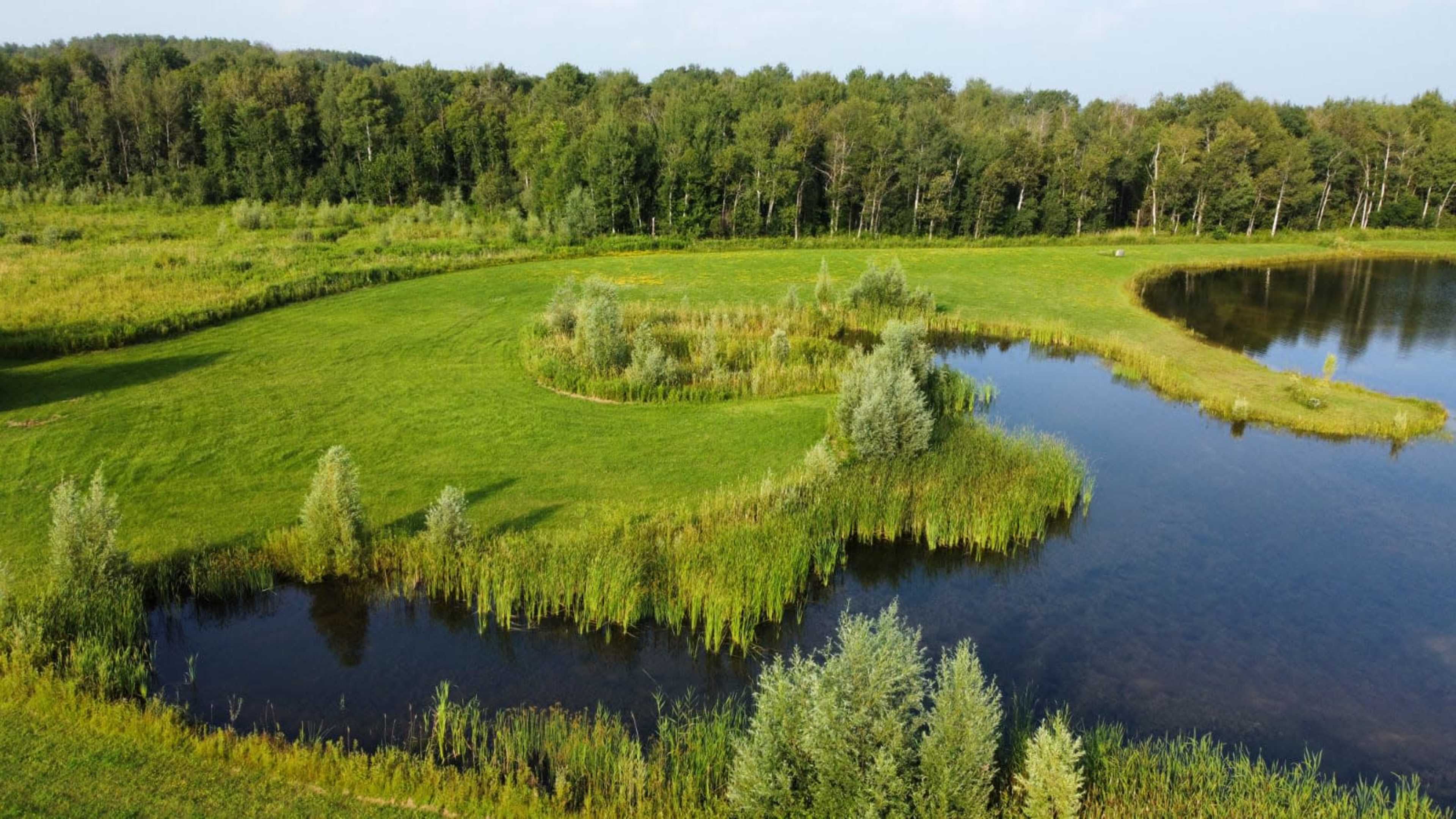 A green landscape with a winding body of water bordered by lush vegetation and trees.