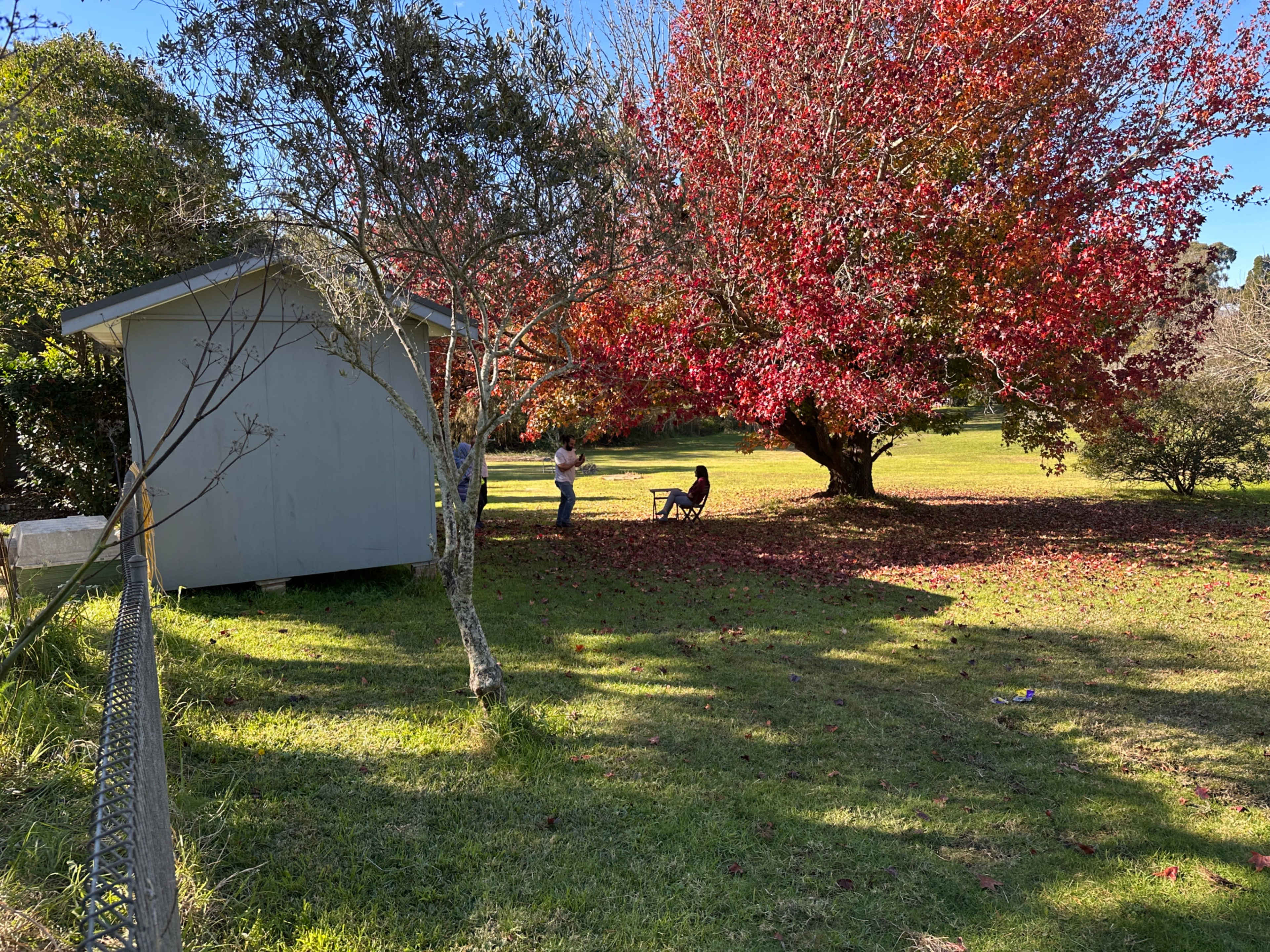 Spacious Country-Style Home in Leafy Dural Image in Dural, Dural, NSW