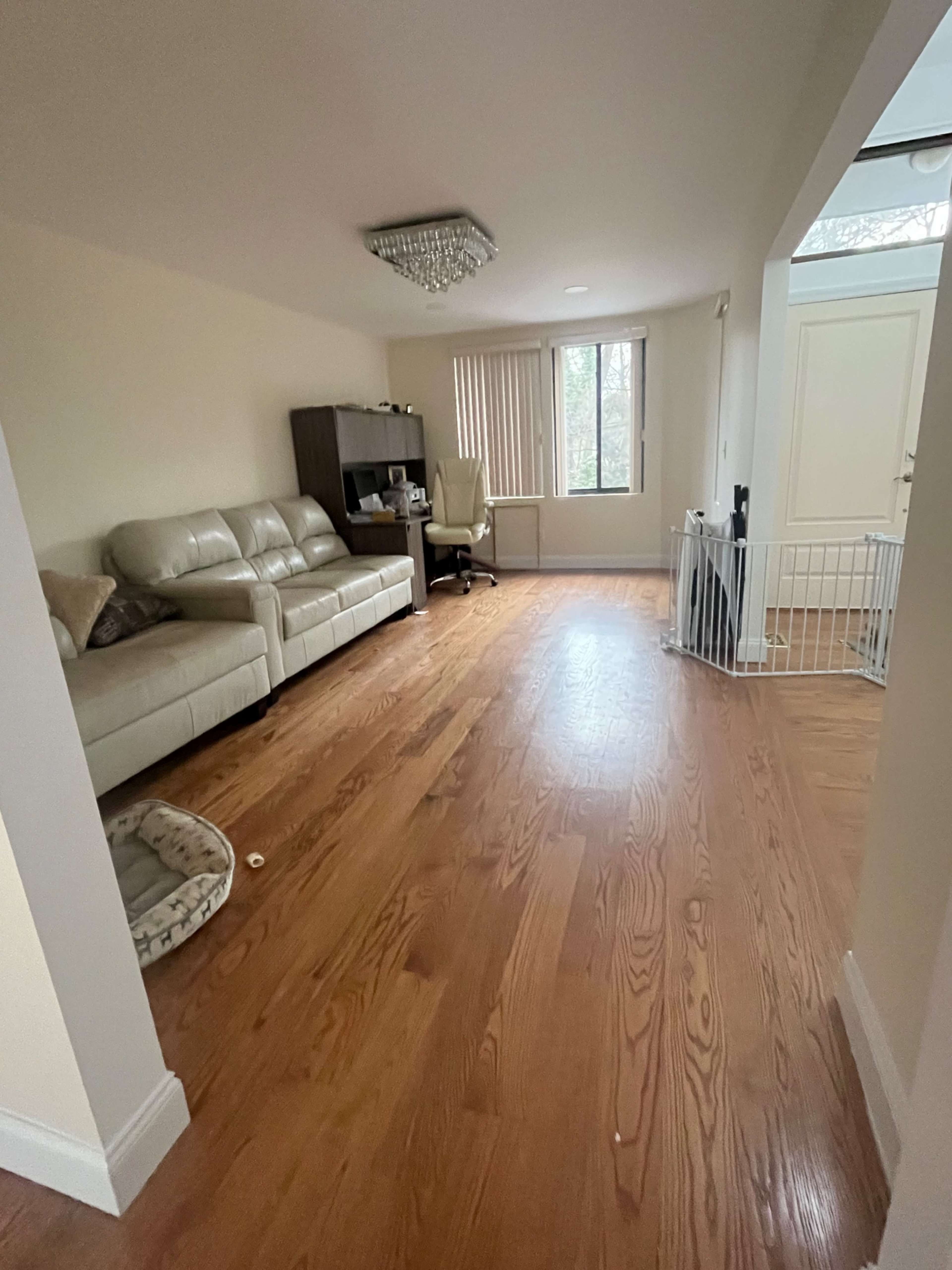 Minimalistic large comfy living room space Image in Huntington, Huntington, NY