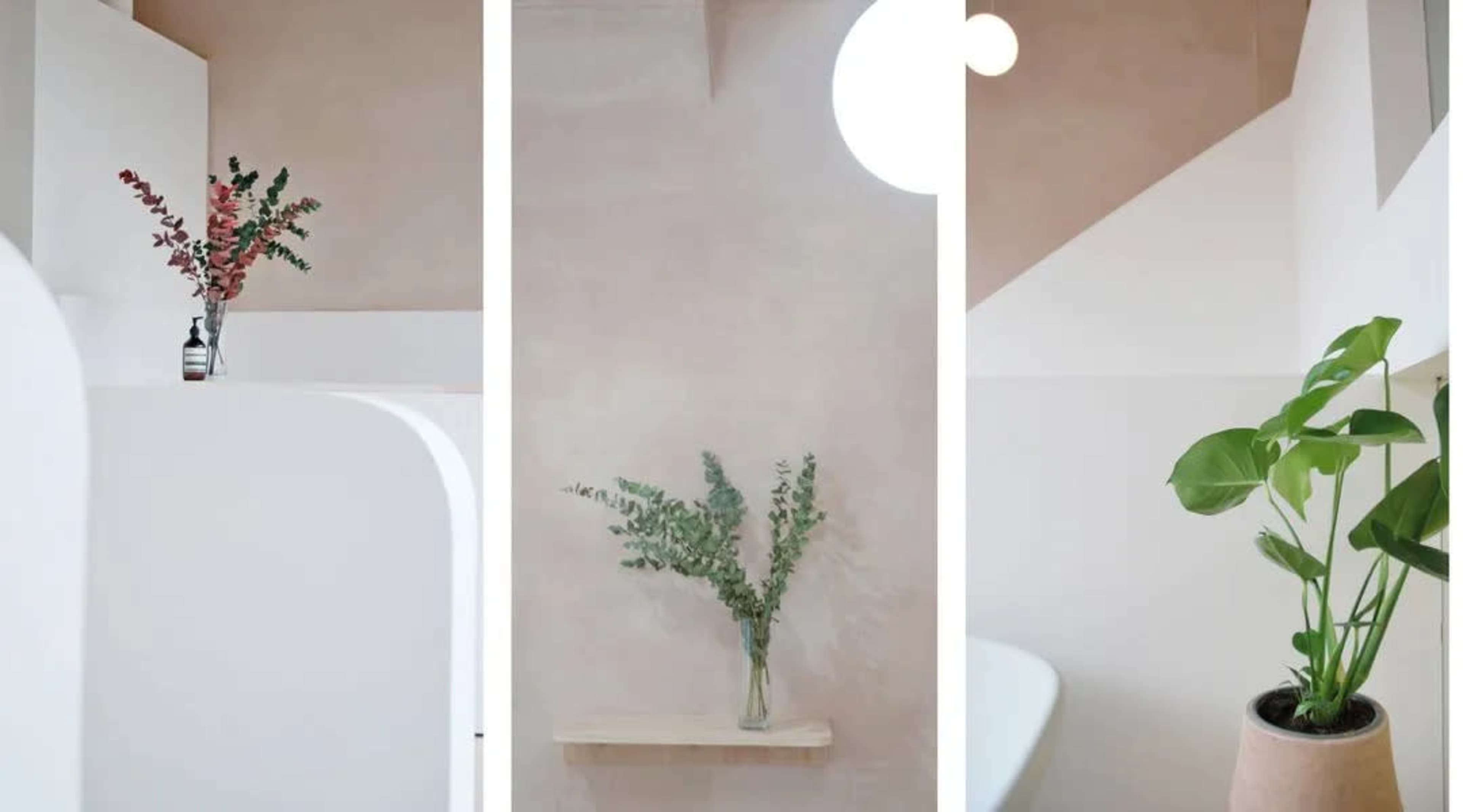 The image showcases a minimalist interior with neutral walls, featuring a shelf displaying a vase of greenery and two potted plants, one of which is a monstera.