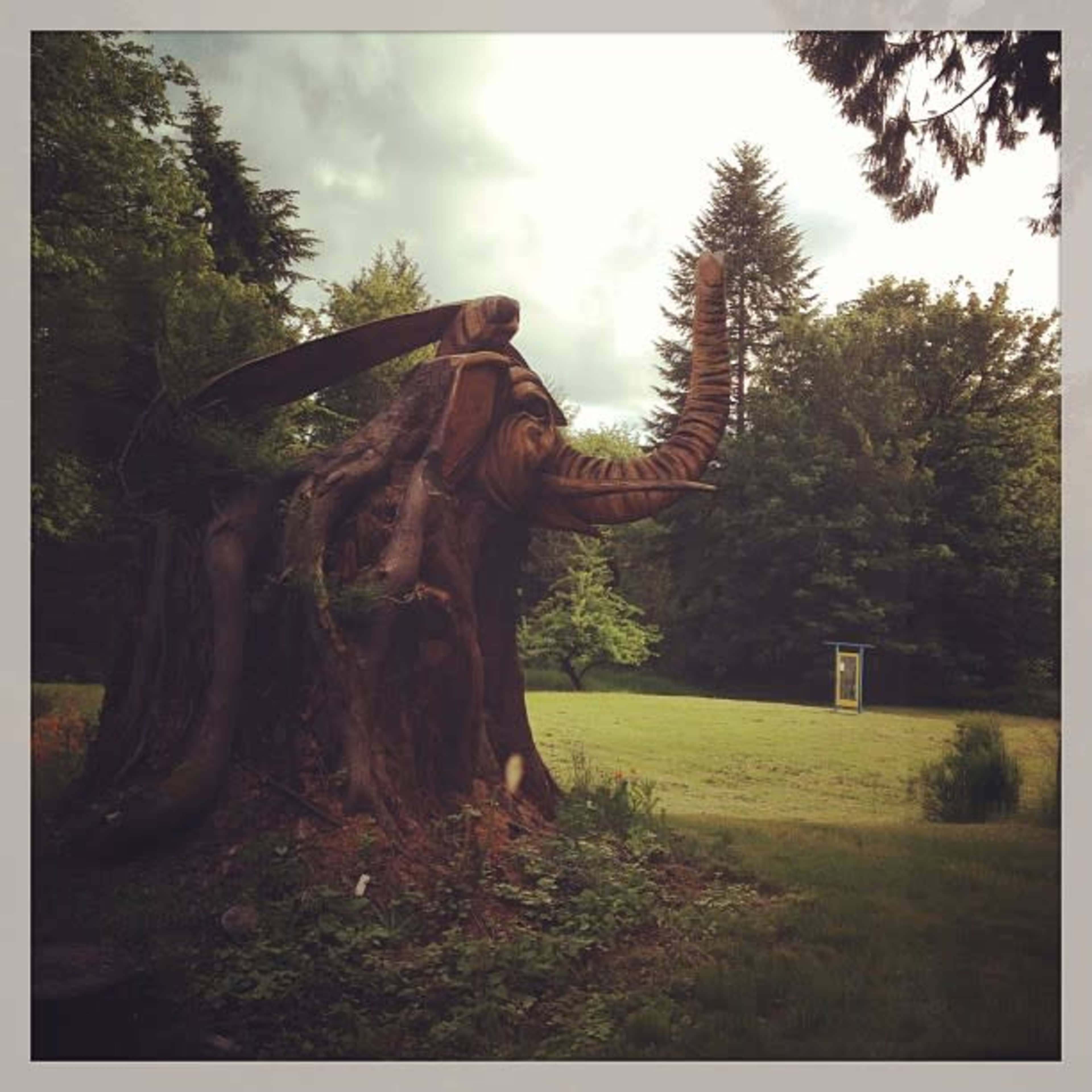 The image depicts a carved wooden elephant sculpture emerging from the ground in a grassy area surrounded by trees.