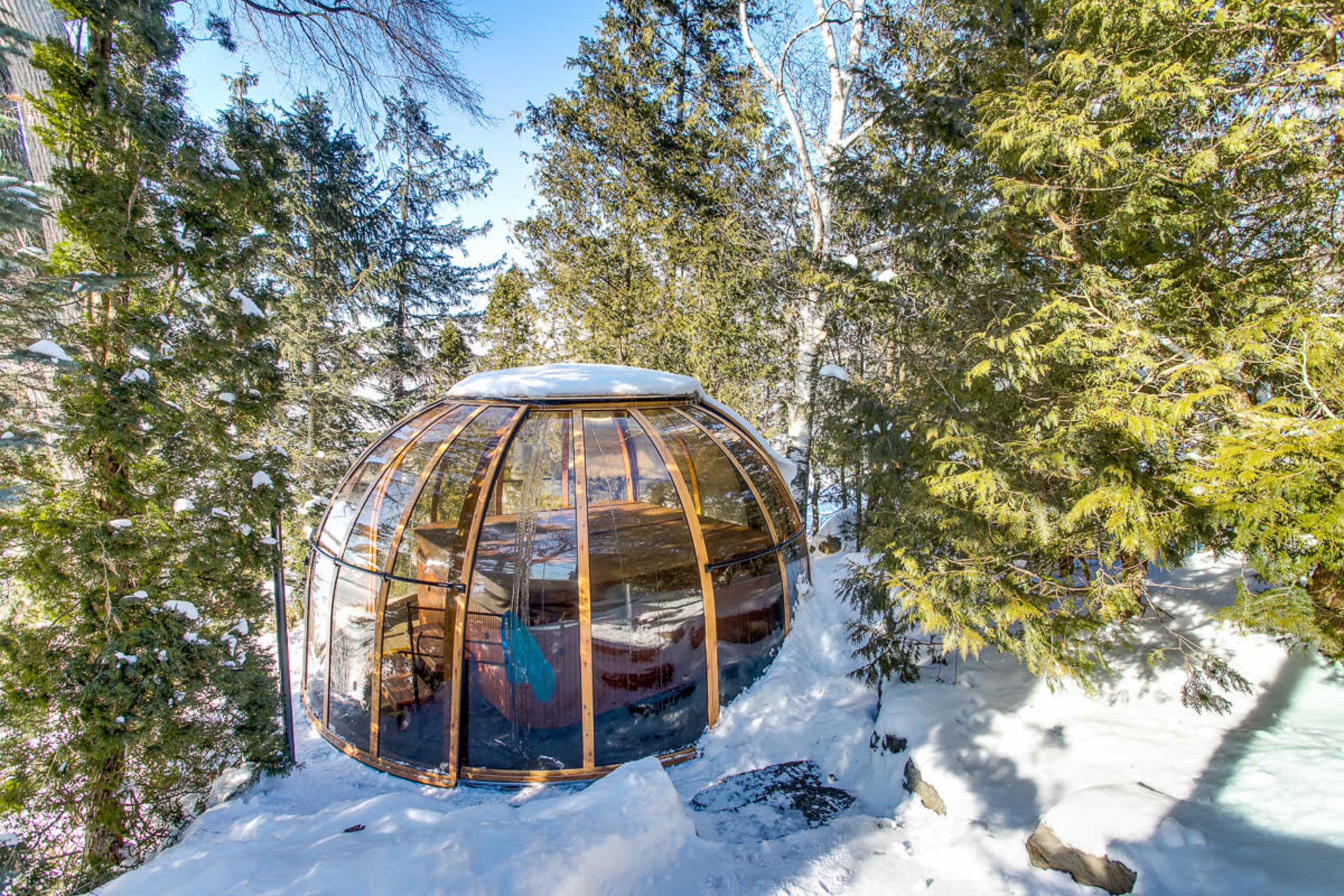 A geodesic dome structure surrounded by snow-covered trees.