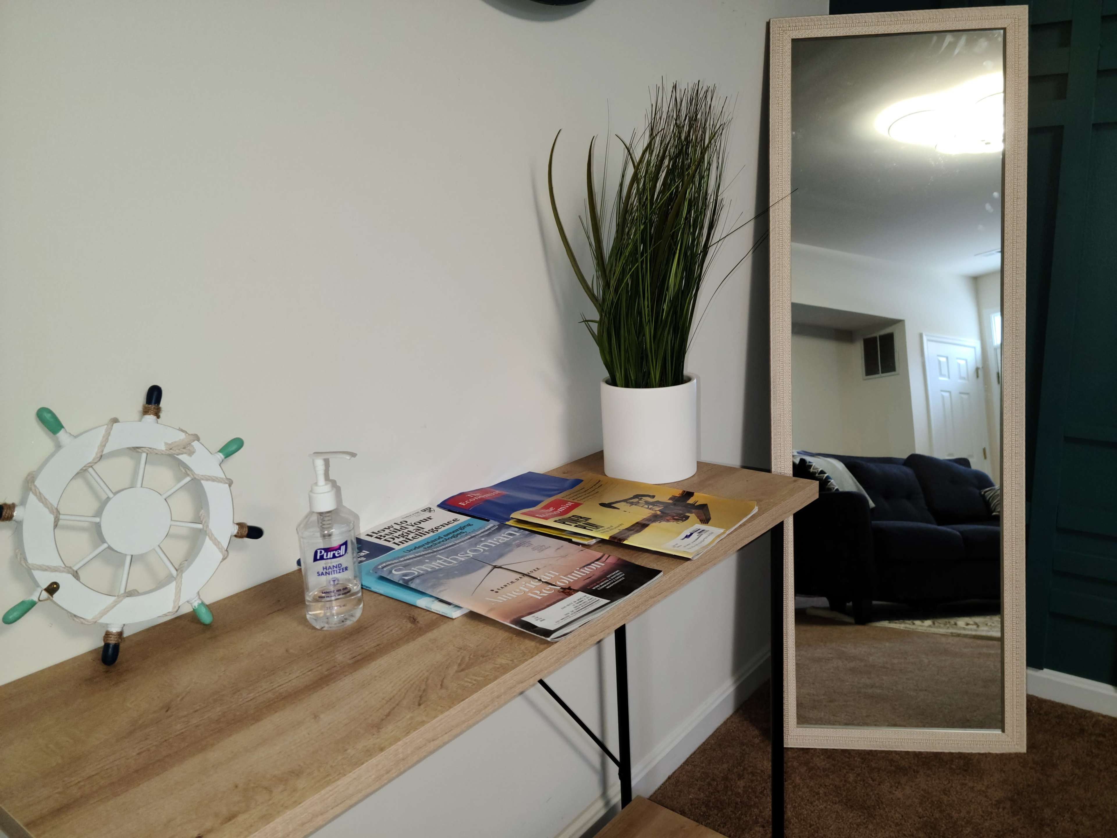 A wooden shelf with a hand sanitizer bottle, magazines, and a potted plant is positioned beside a full-length mirror, reflecting a living room in the background.