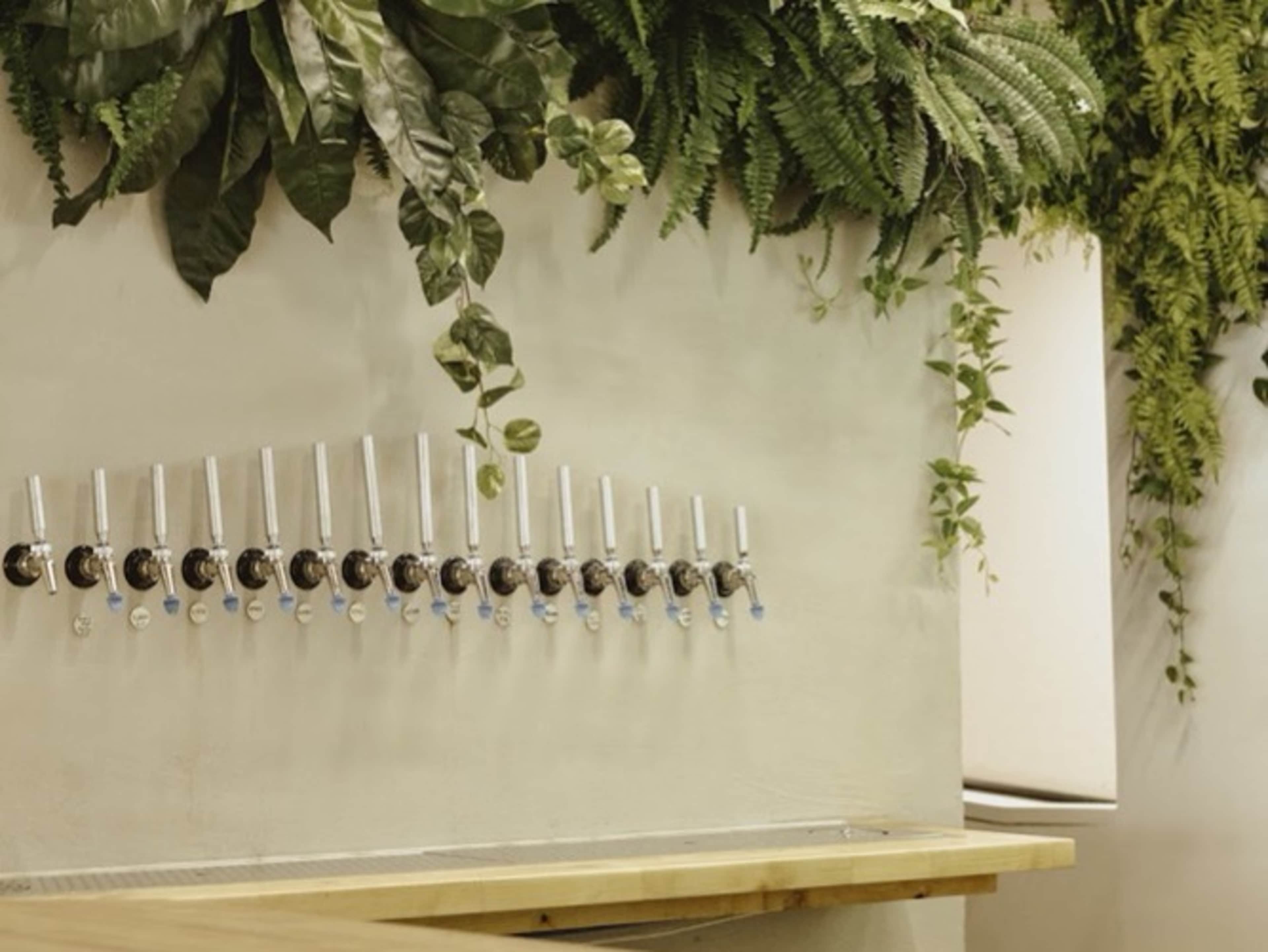 Craft Beer and Wine Bar