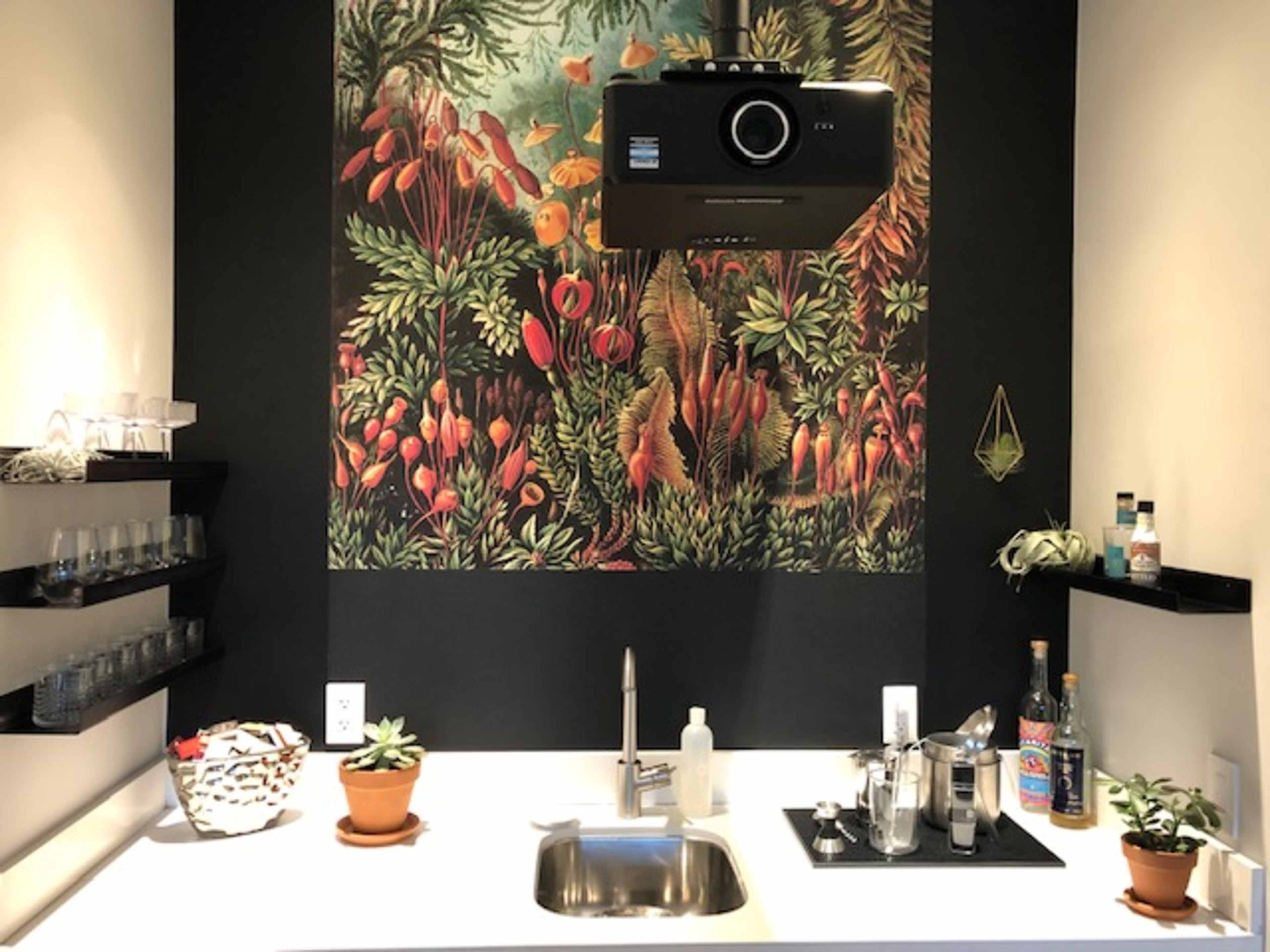 The image shows a kitchen area with a sink, shelves containing glassware and plants, and a projector mounted on a colorful wall mural of foliage and flowers.