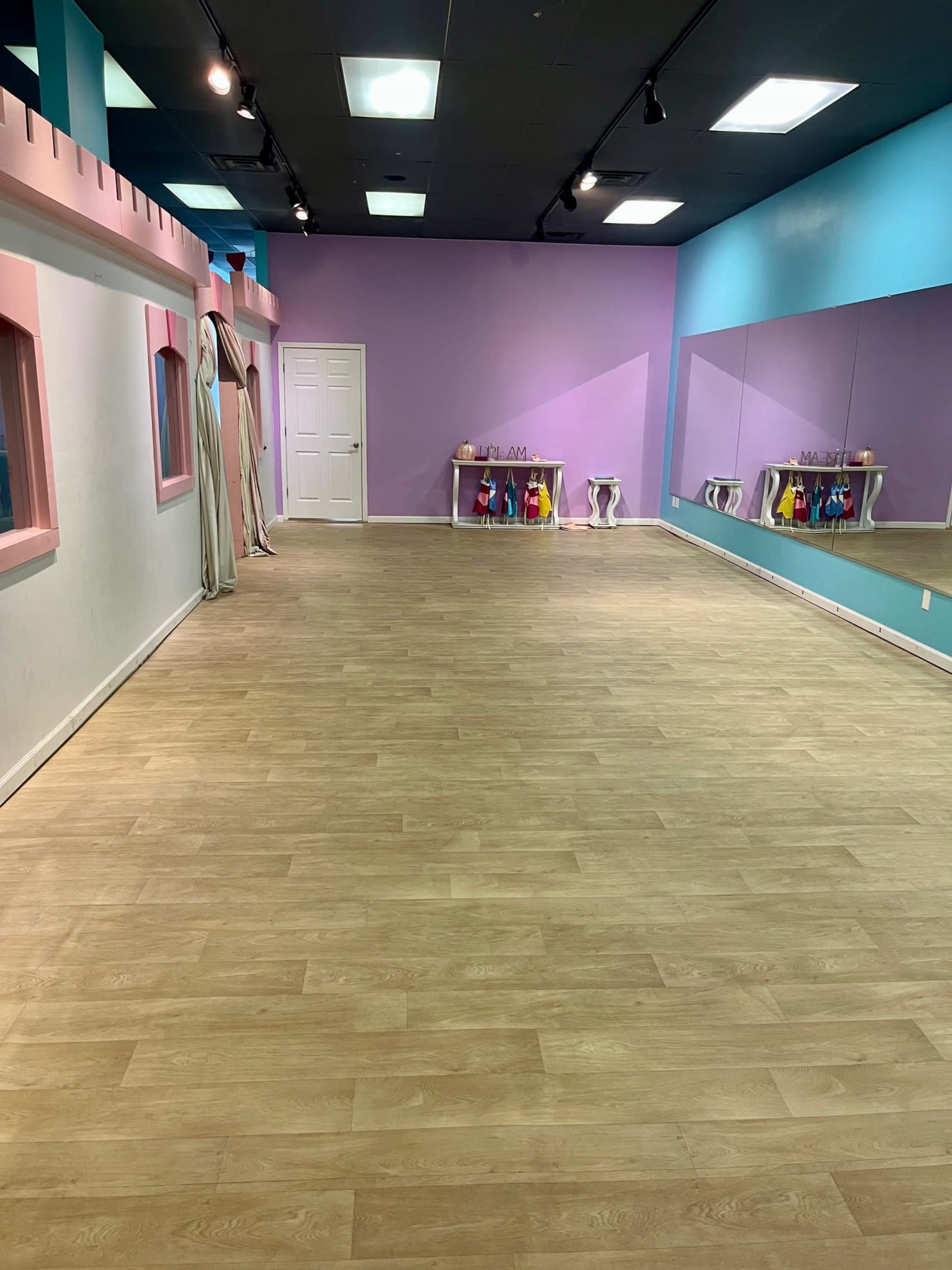 Versatile Mirrored Studio Space in Shopping Center Image in Roanoke, Roanoke, VA