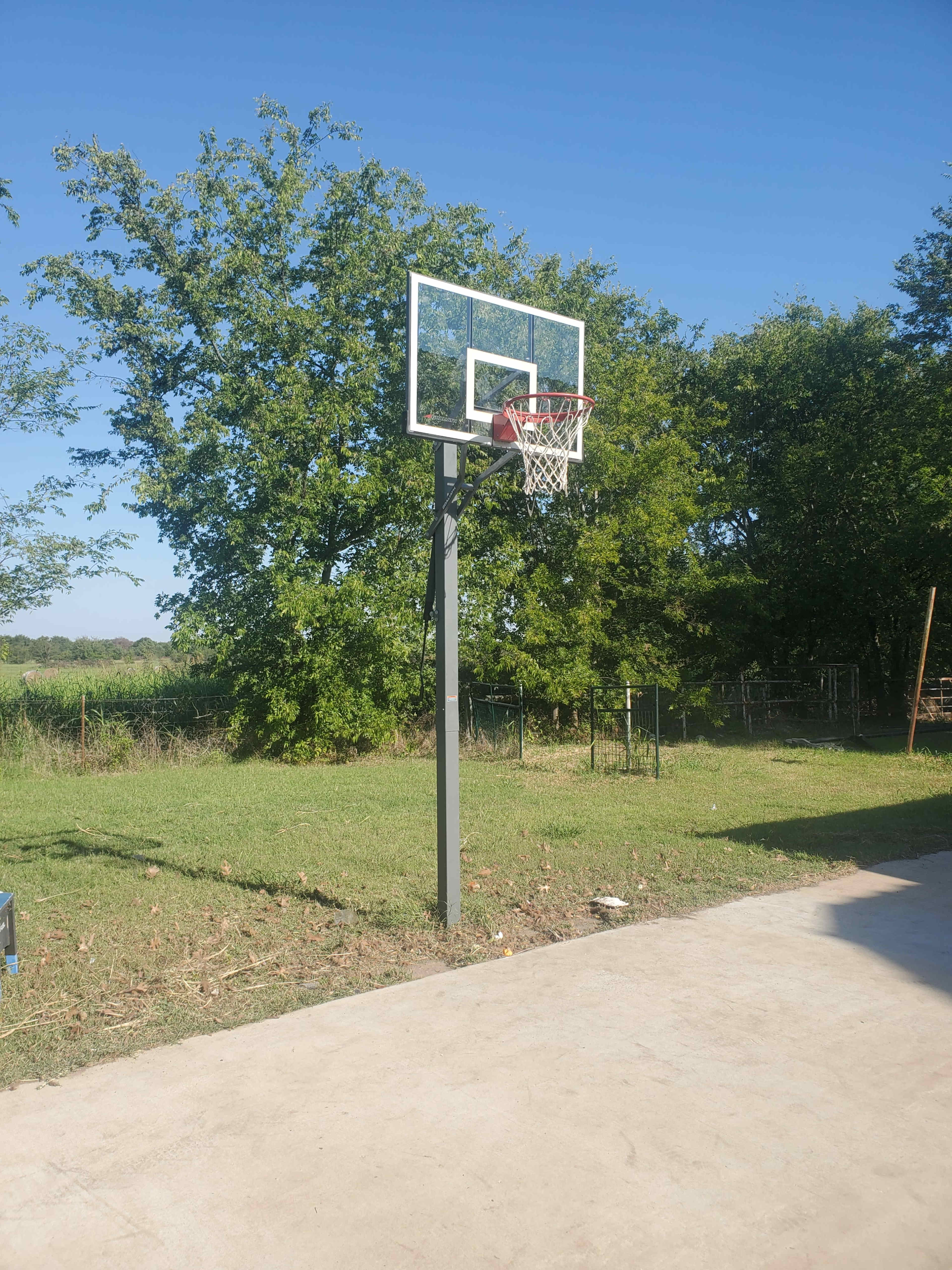 A basketball hoop stands on a concrete surface next to a grassy area and trees under a clear blue sky.