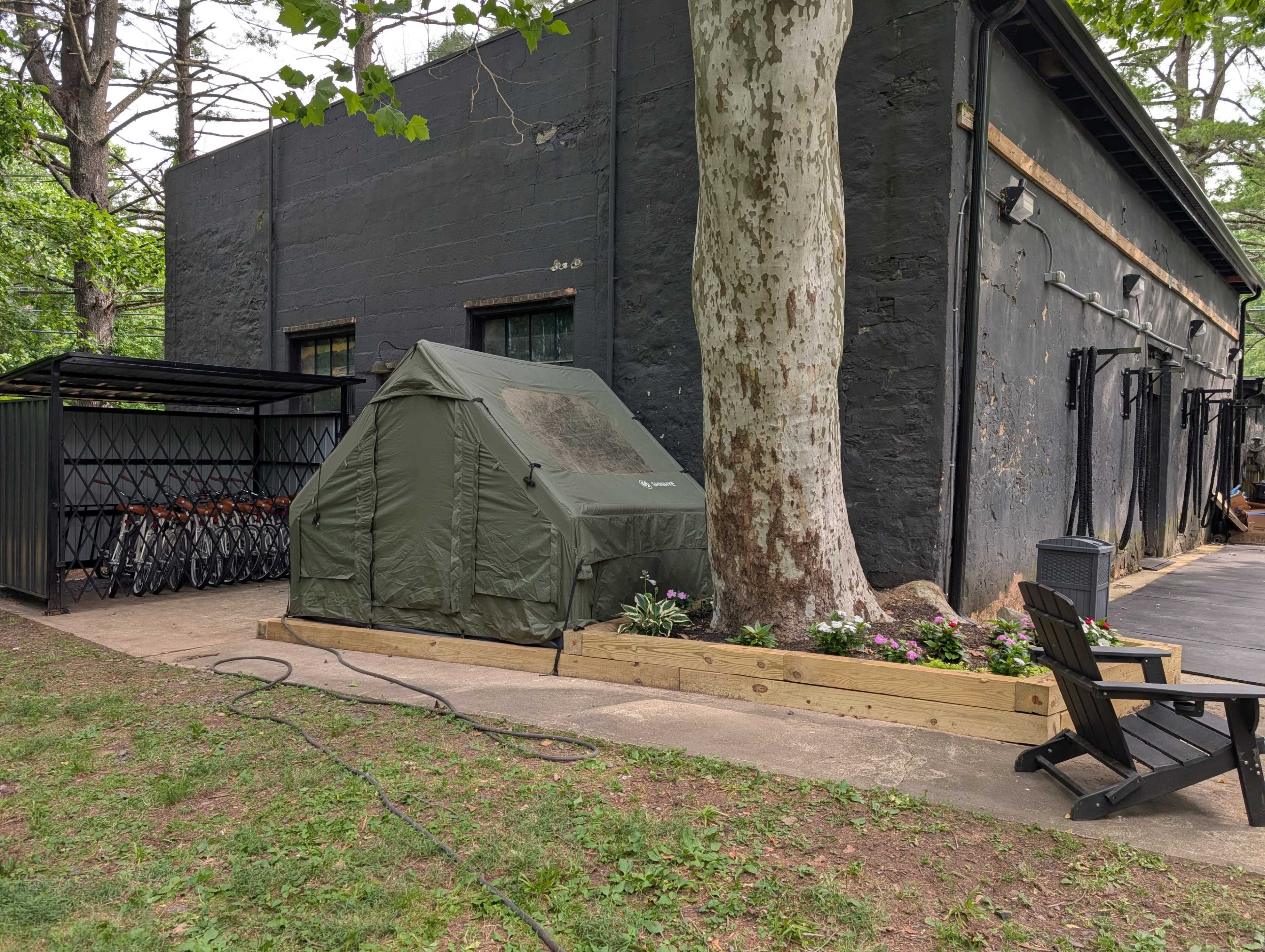 A green tent is set up beside a large tree next to a black building, with several bicycles parked nearby.