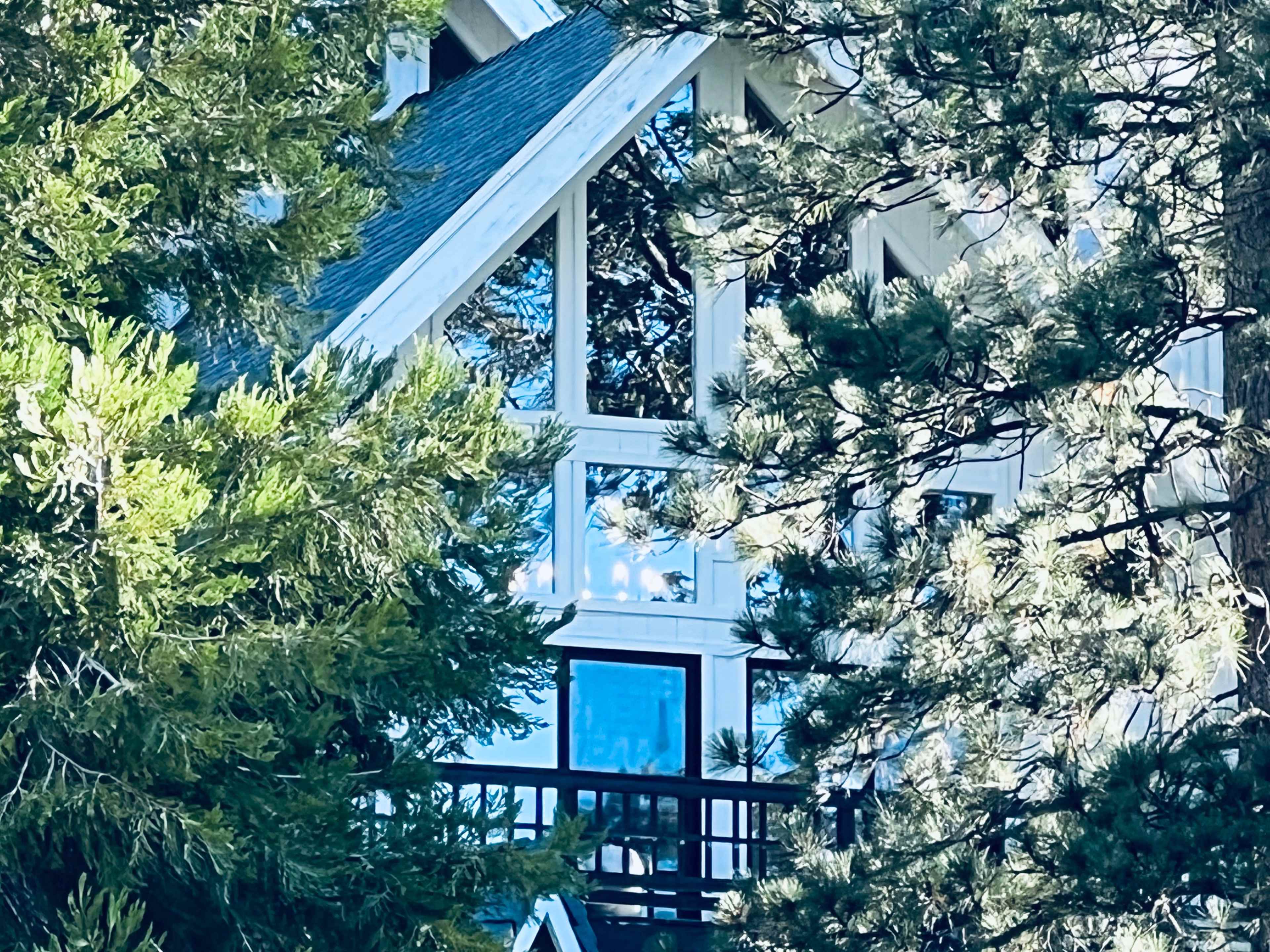 A house with large windows is partially obscured by trees.
