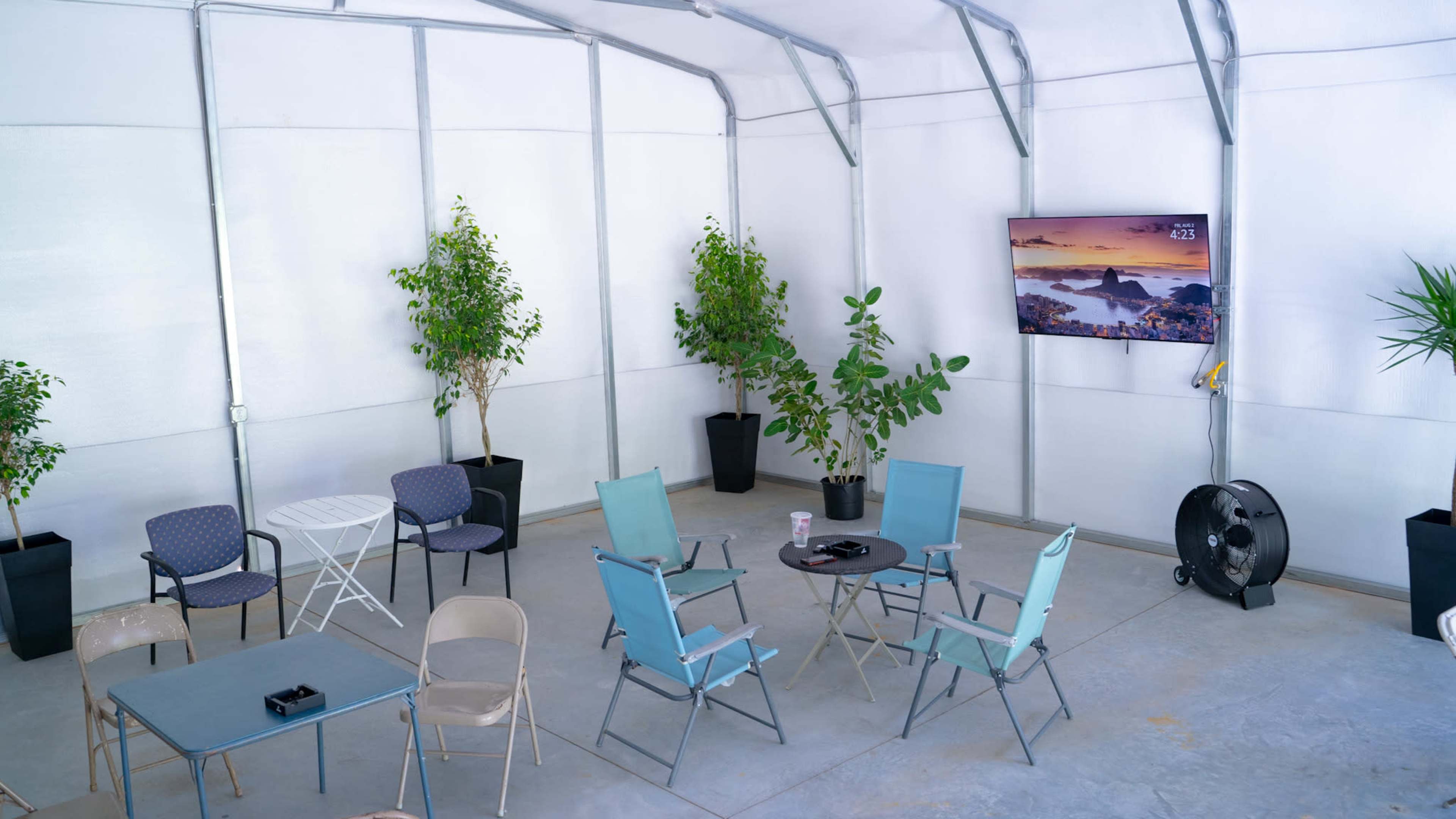 An indoor space with several chairs arranged around tables, potted plants in the corners, and a mounted television on one wall.