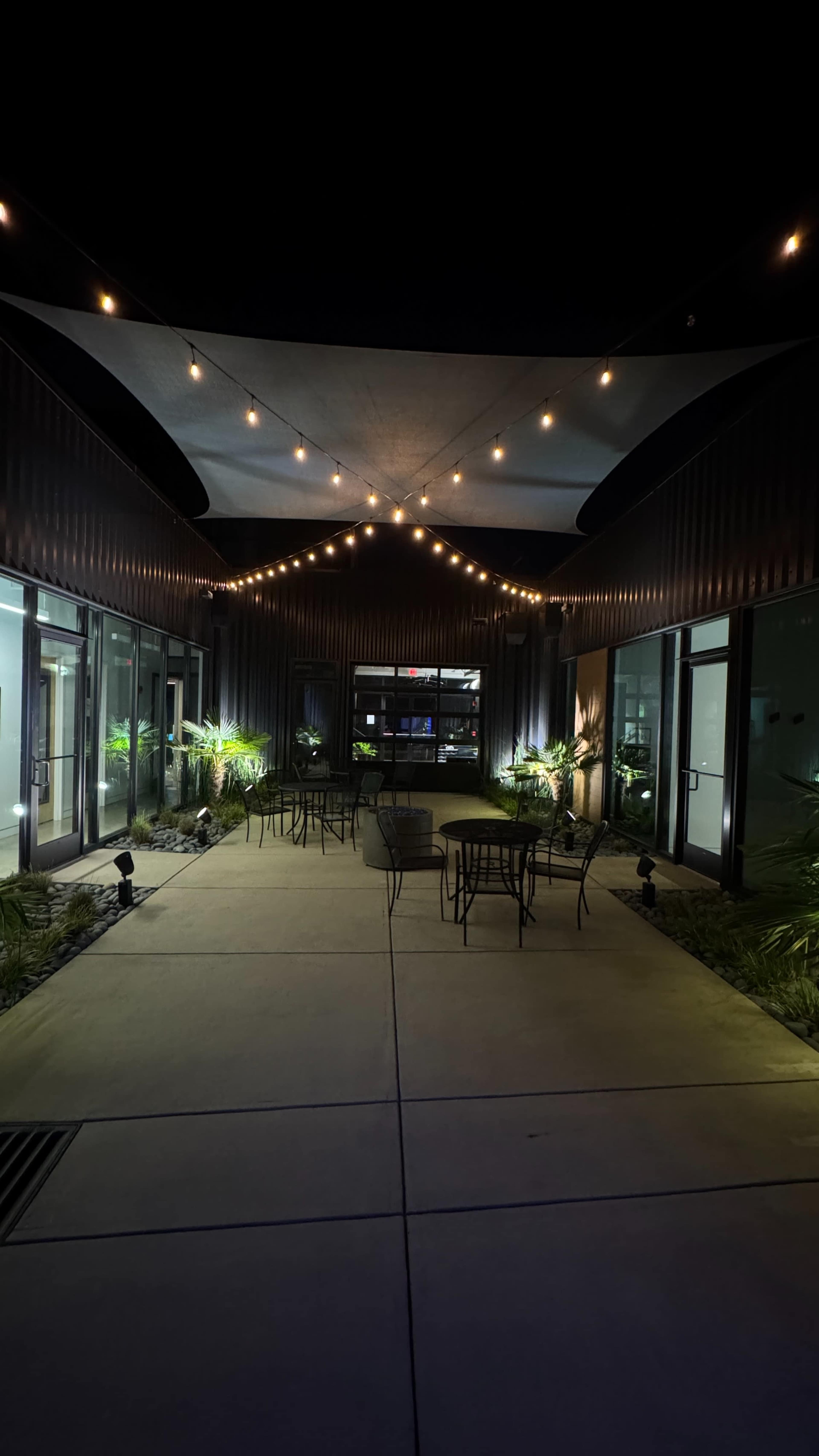 The image shows a pathway illuminated by string lights, flanked by glass doors and surrounded by potted plants in a modern building at night.